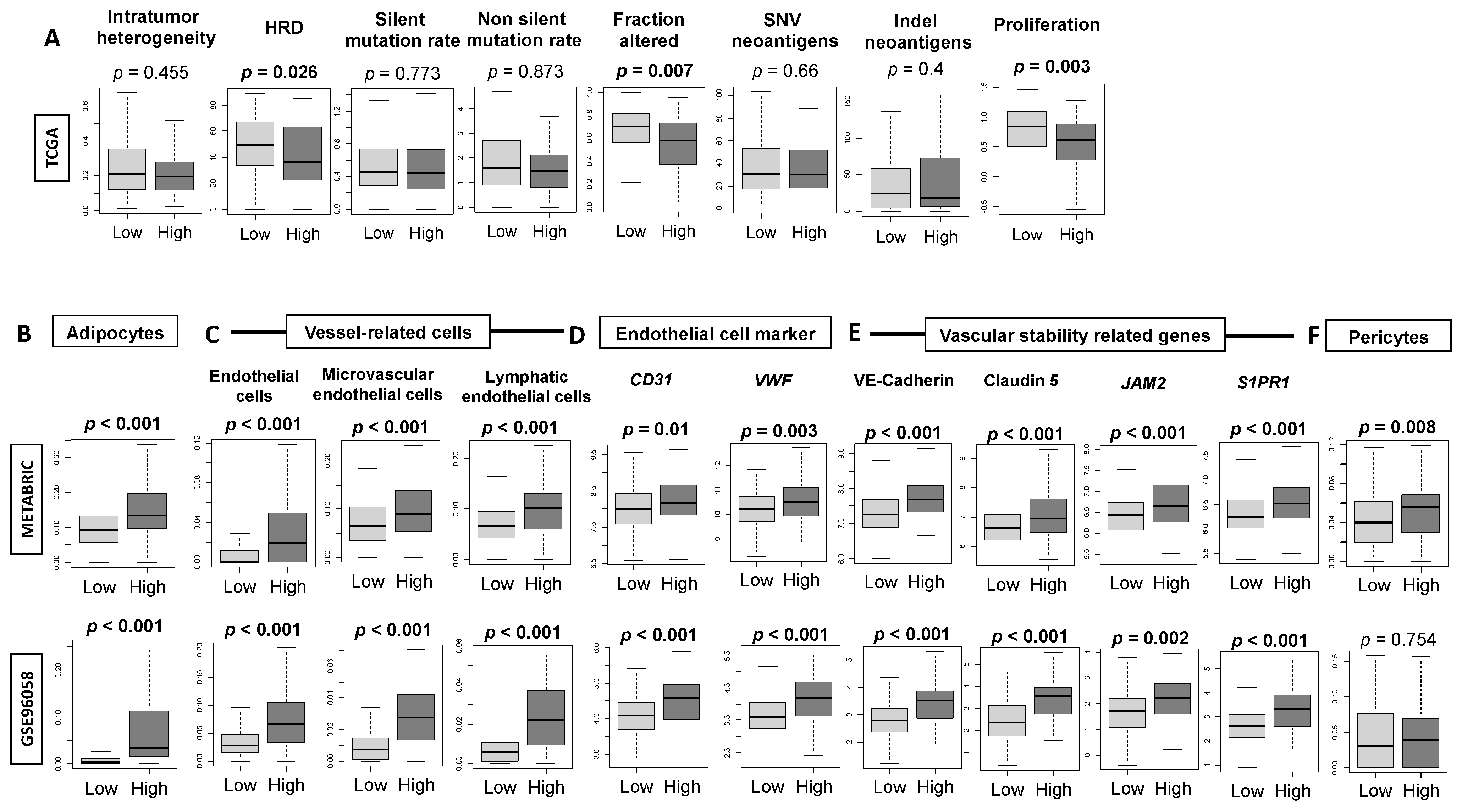 Cancers 13 02559 g003