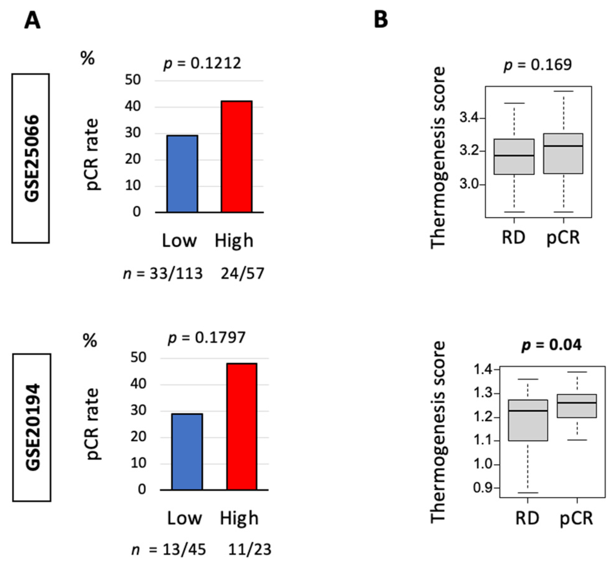 Cancers 13 02559 g004