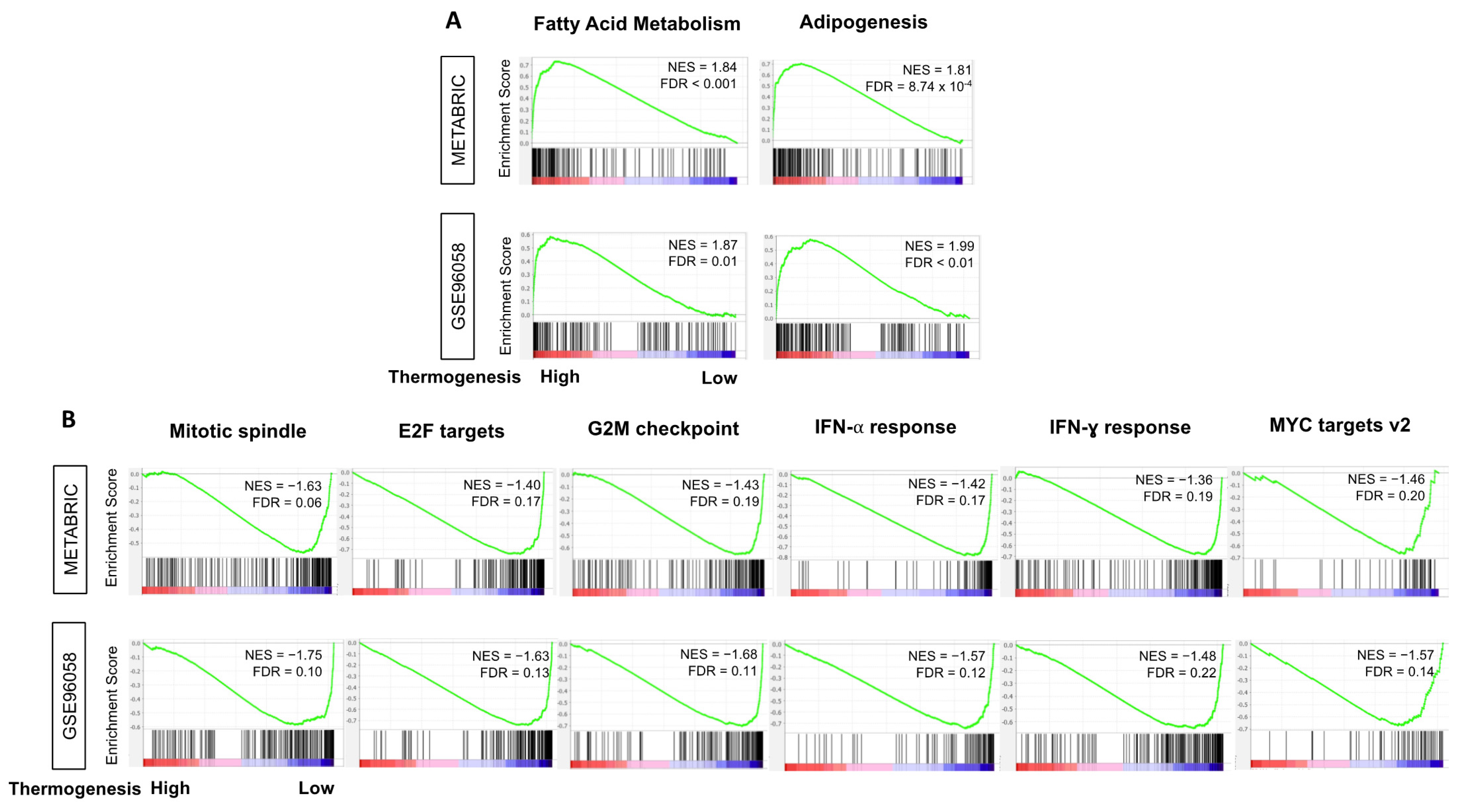Cancers 13 02559 g005