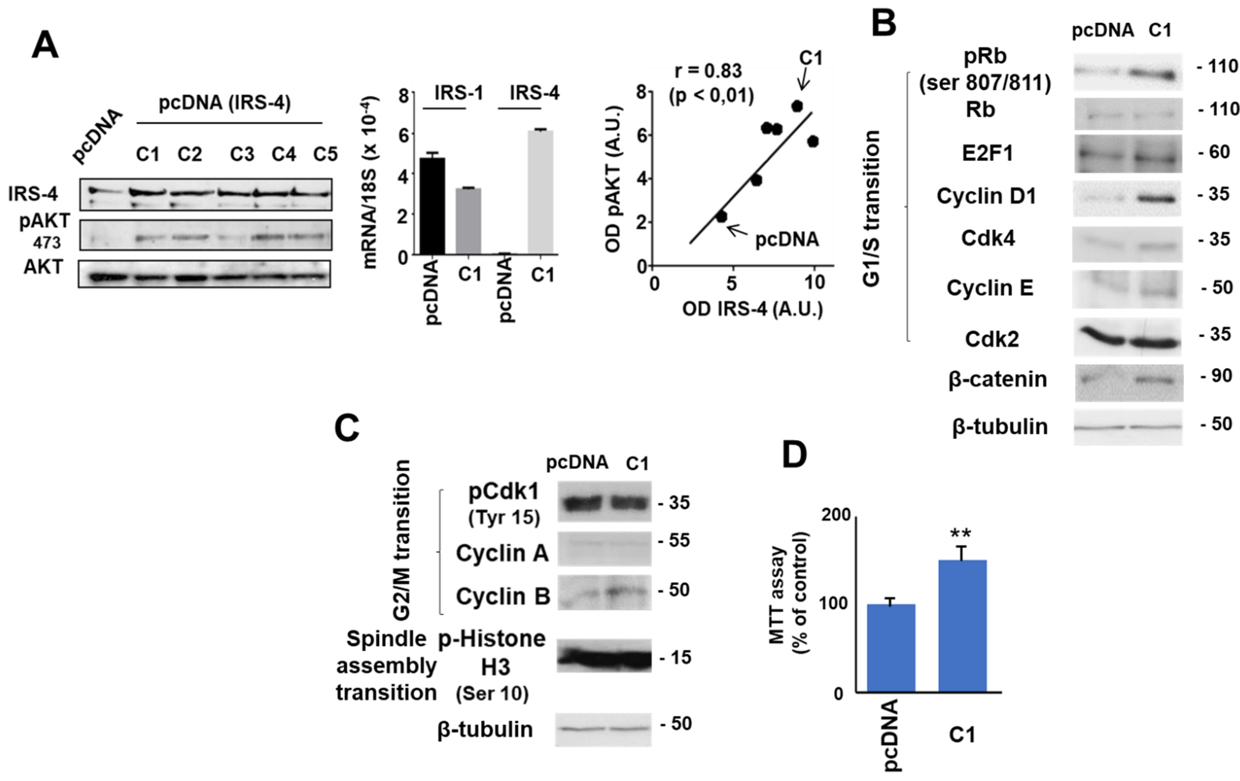 Cancers 13 02560 g006