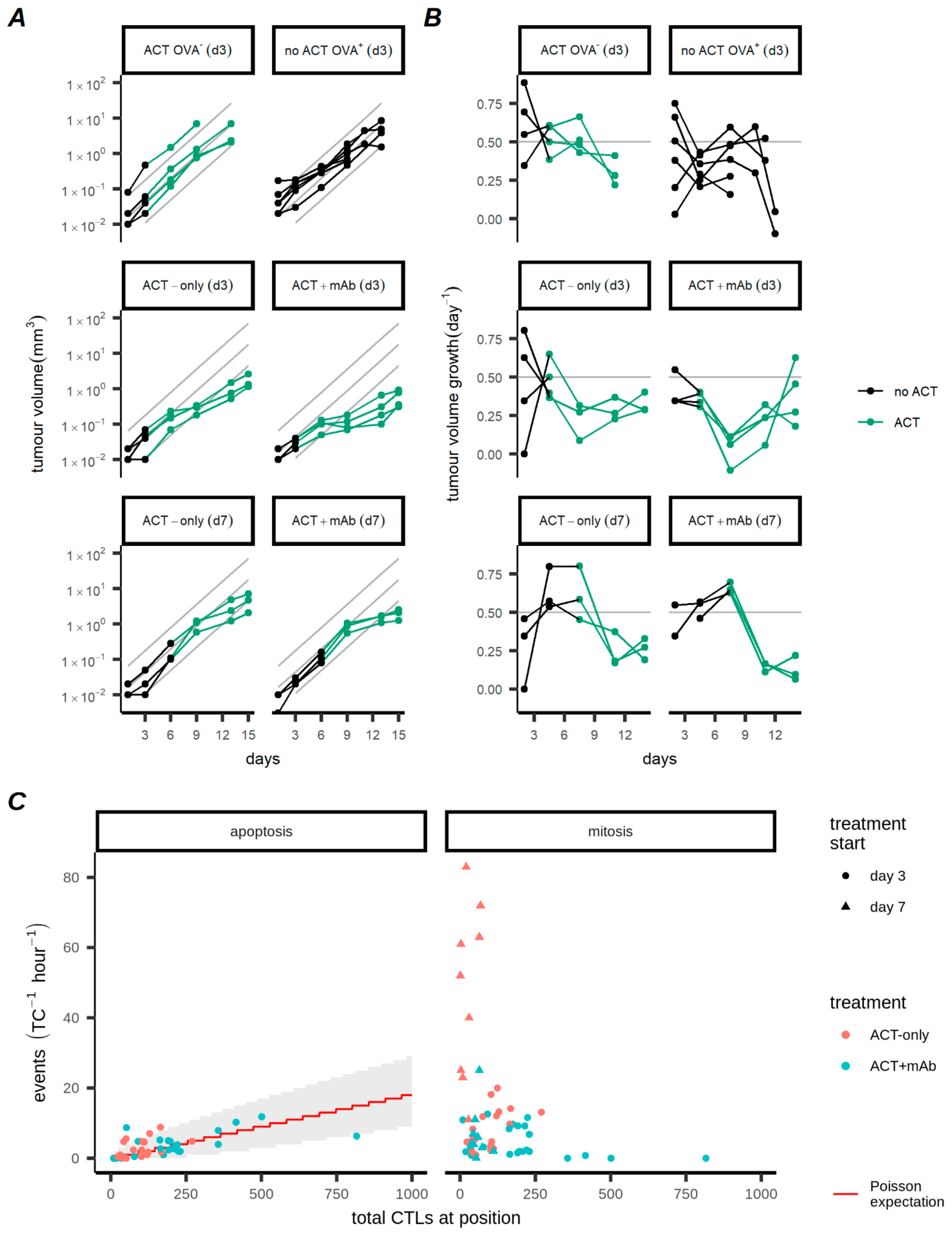 Cancers Free Full Text Mathematical Modelling Based On In Vivo Imaging Suggests Cd137 Stimulated Cytotoxic T Lymphocytes Exert Superior Tumour Control Due To An Enhanced Antimitotic Effect On Tumour Cells Html