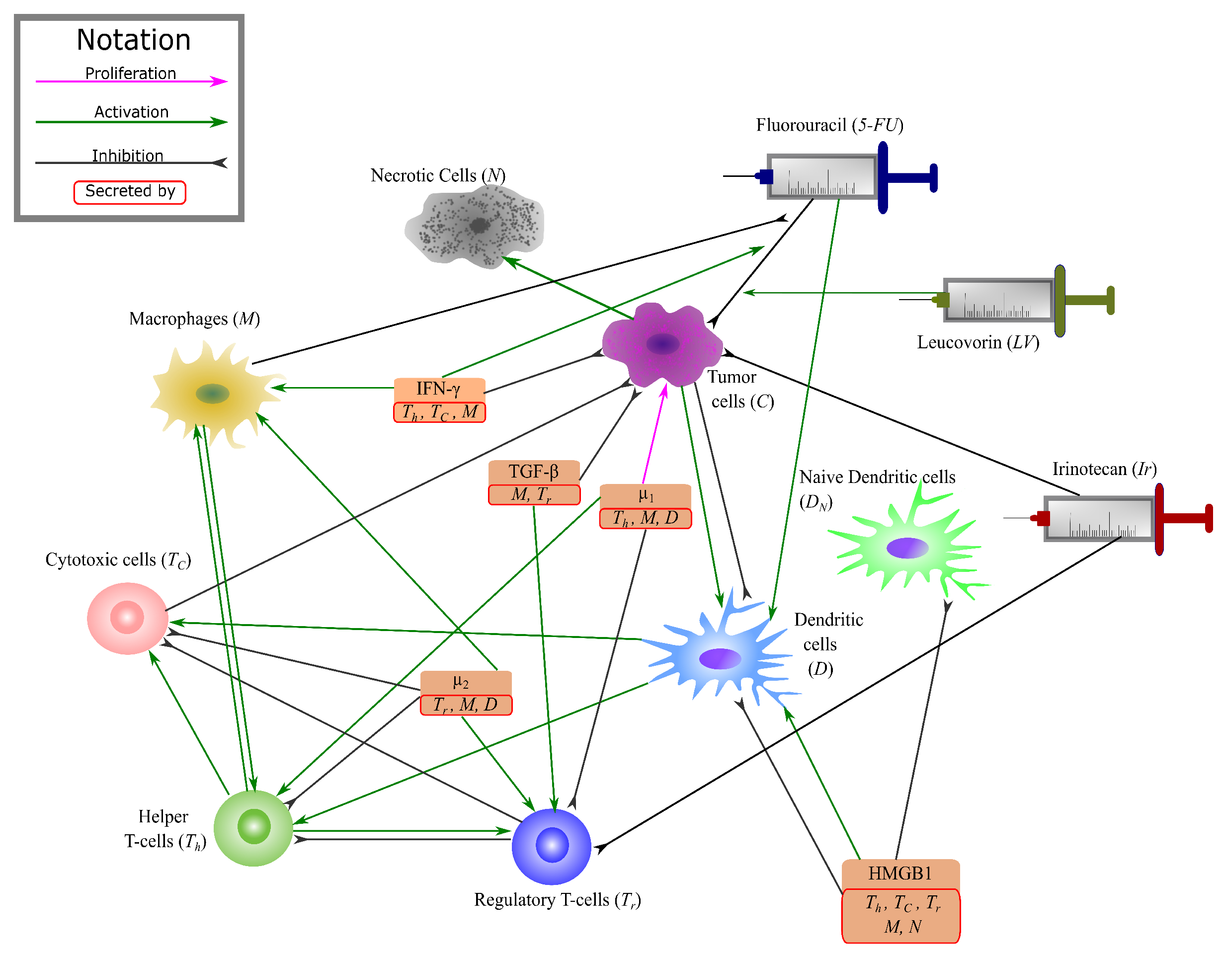 Cancers 13 02632 g001