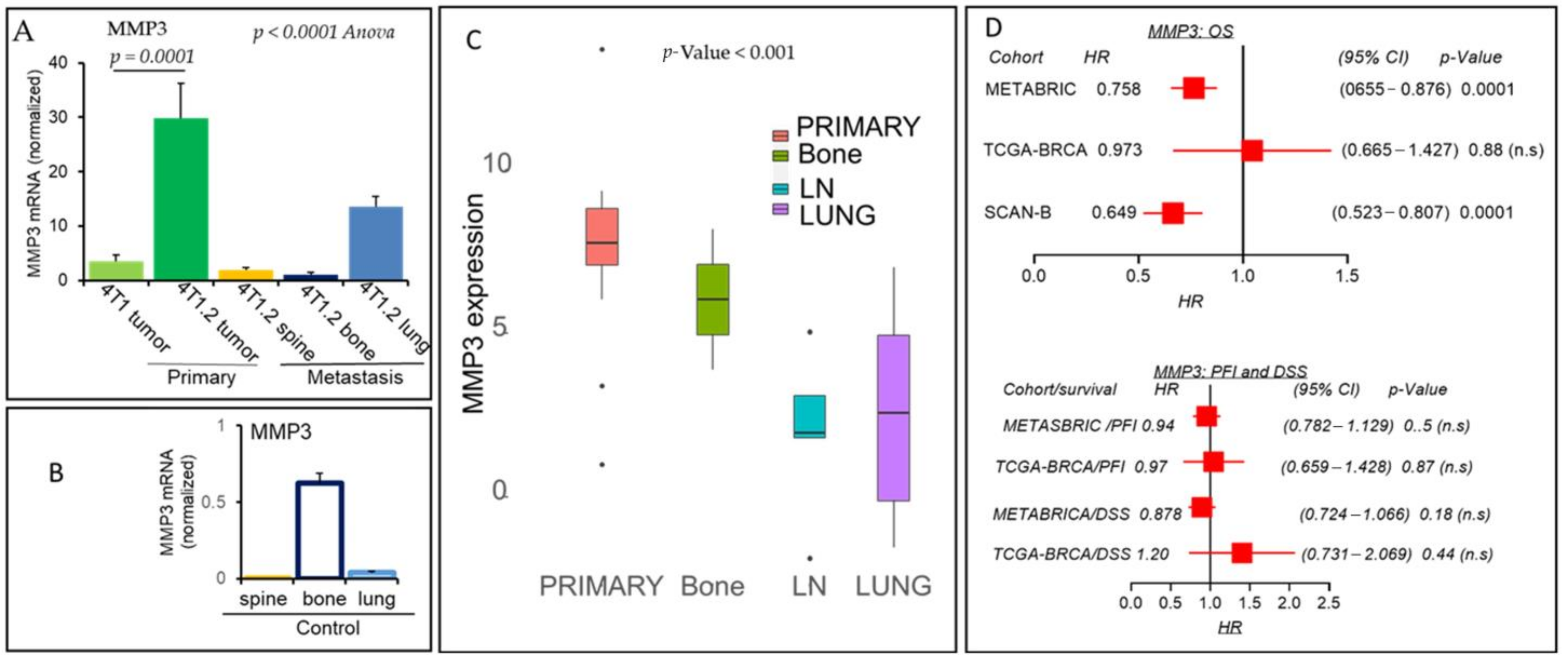 Cancers 13 02641 g003 Cancers 13 02641 g003