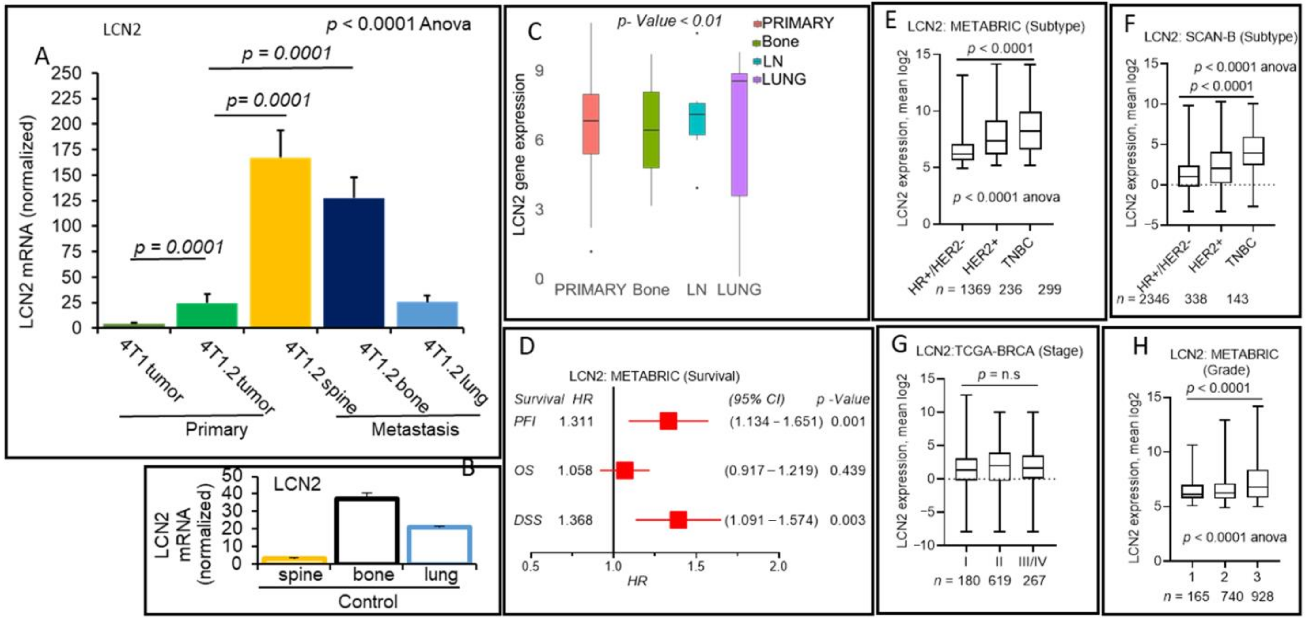 Cancers 13 02641 g004 Cancers 13 02641 g004