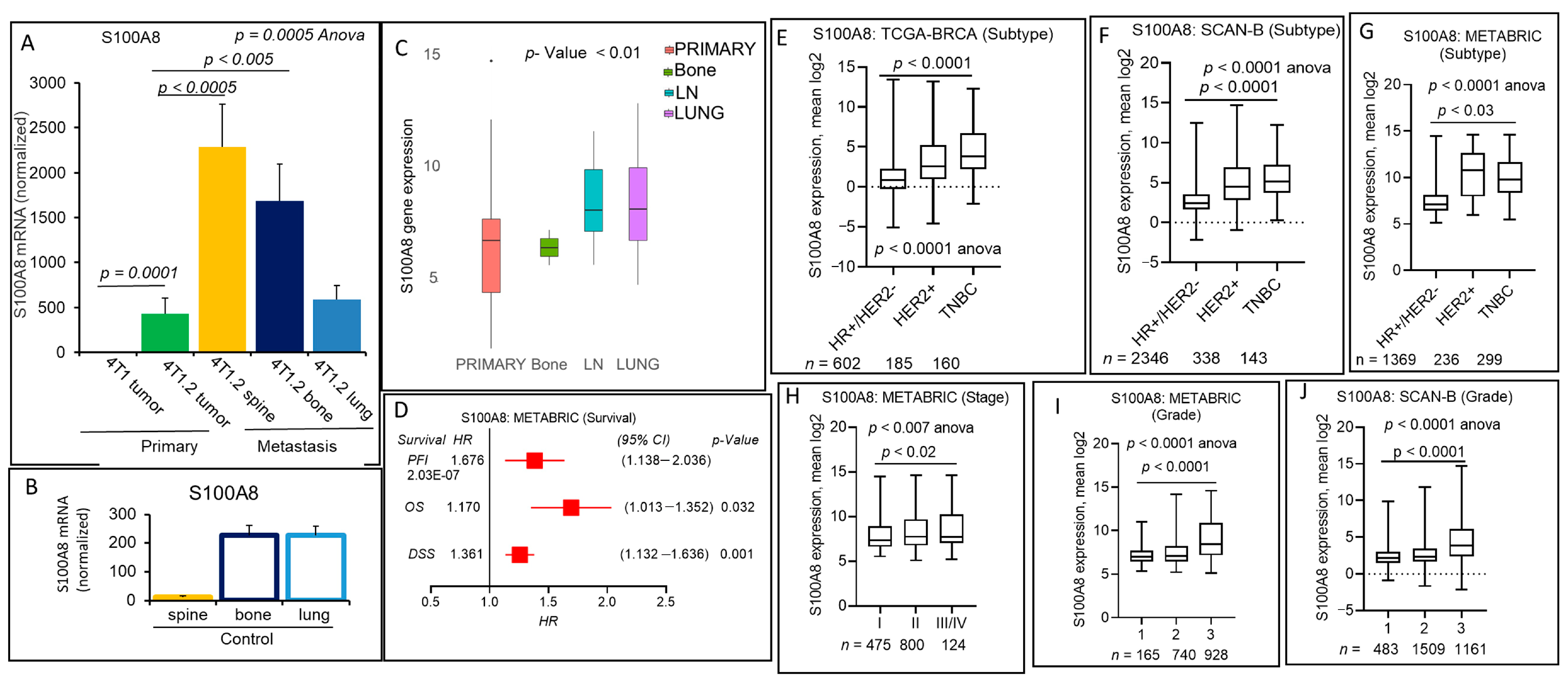 Cancers 13 02641 g005 Cancers 13 02641 g005