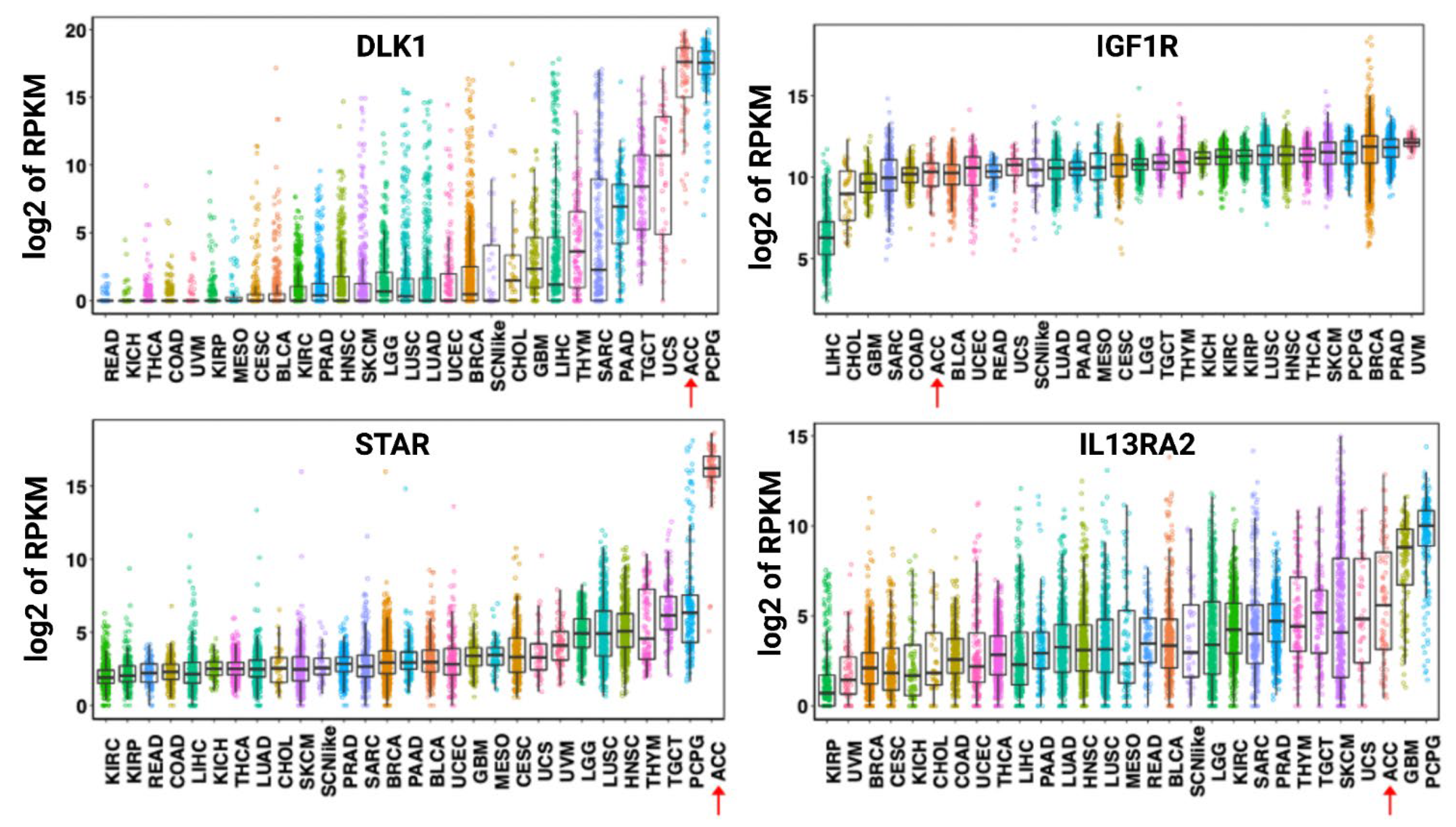 Cancers 13 02660 g002 Cancers 13 02660 g002