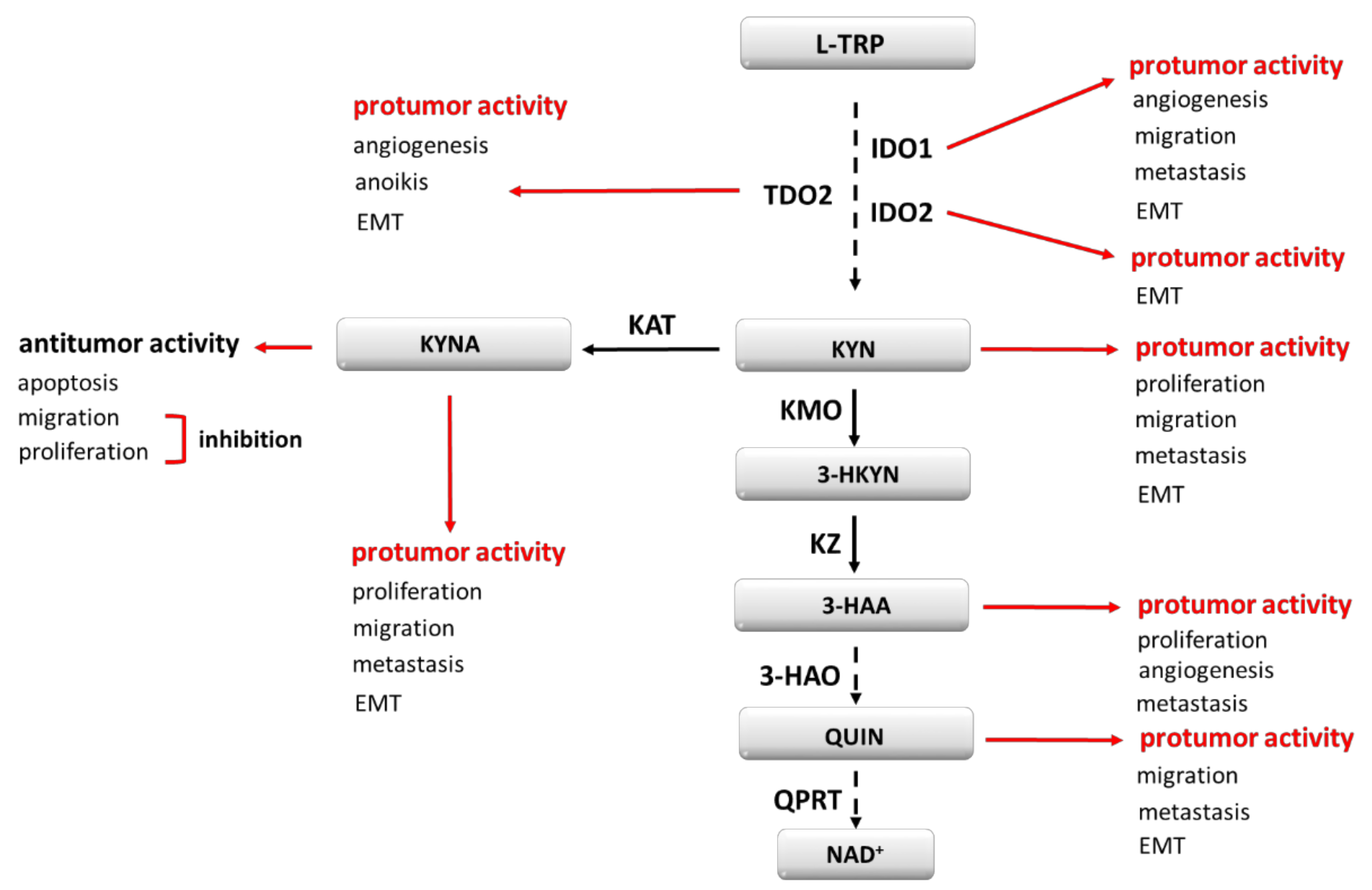 Cancers 13 02667 g001 Cancers 13 02667 g001