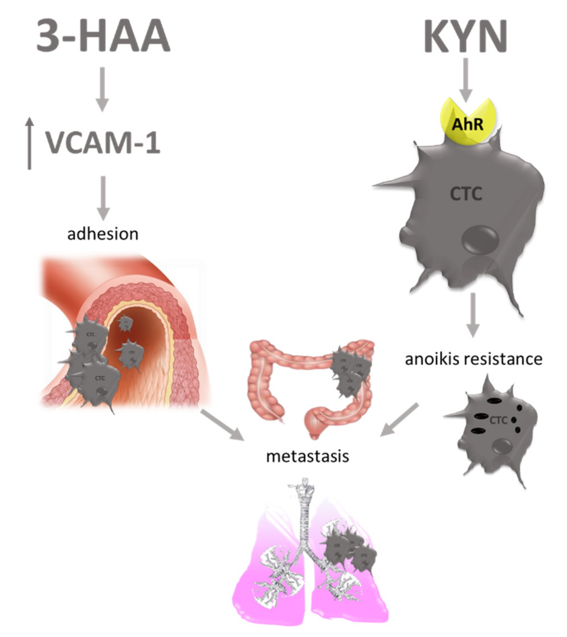 Cancers 13 02667 g003 Cancers 13 02667 g003