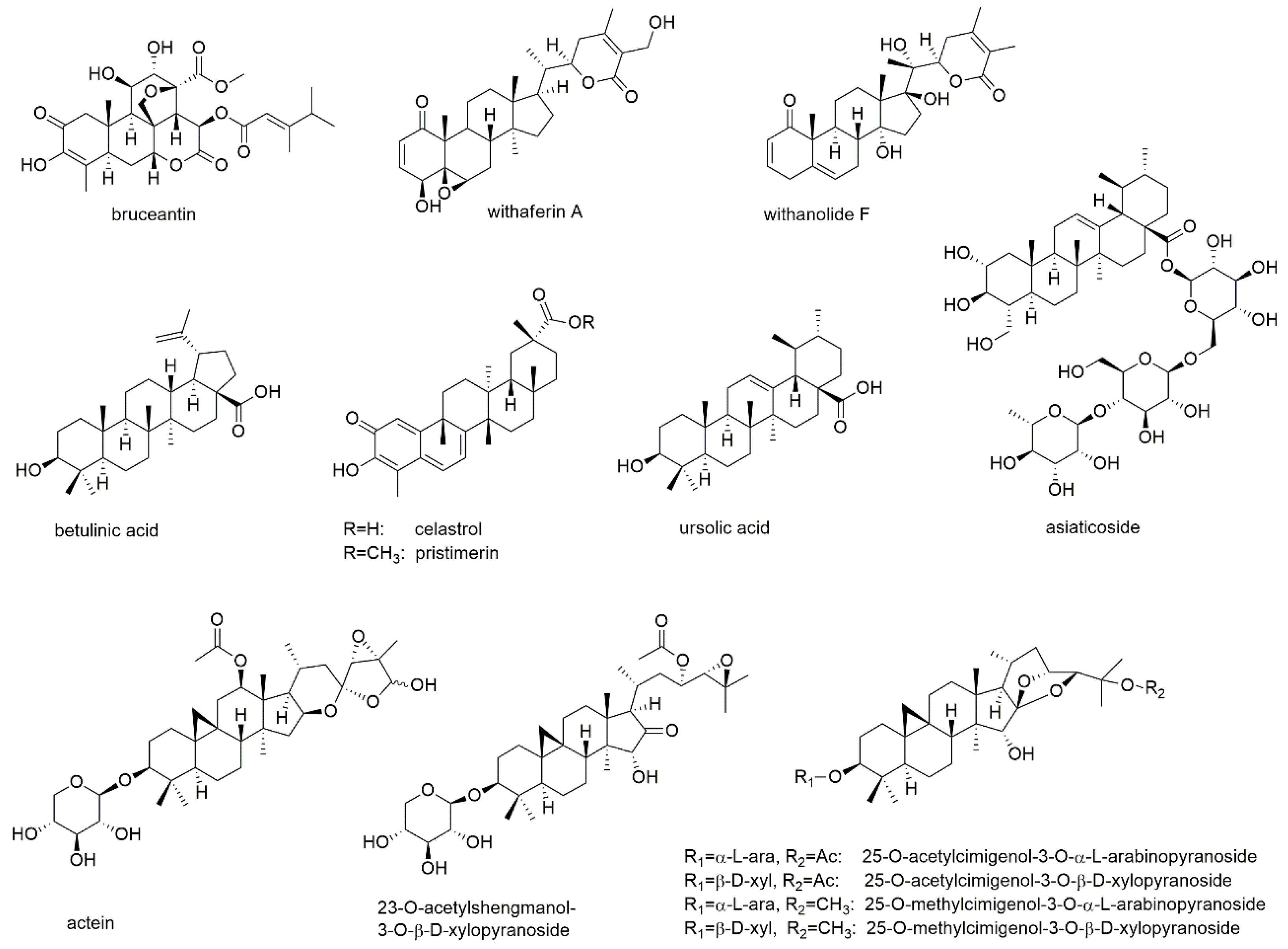 Cancers 13 02678 g013