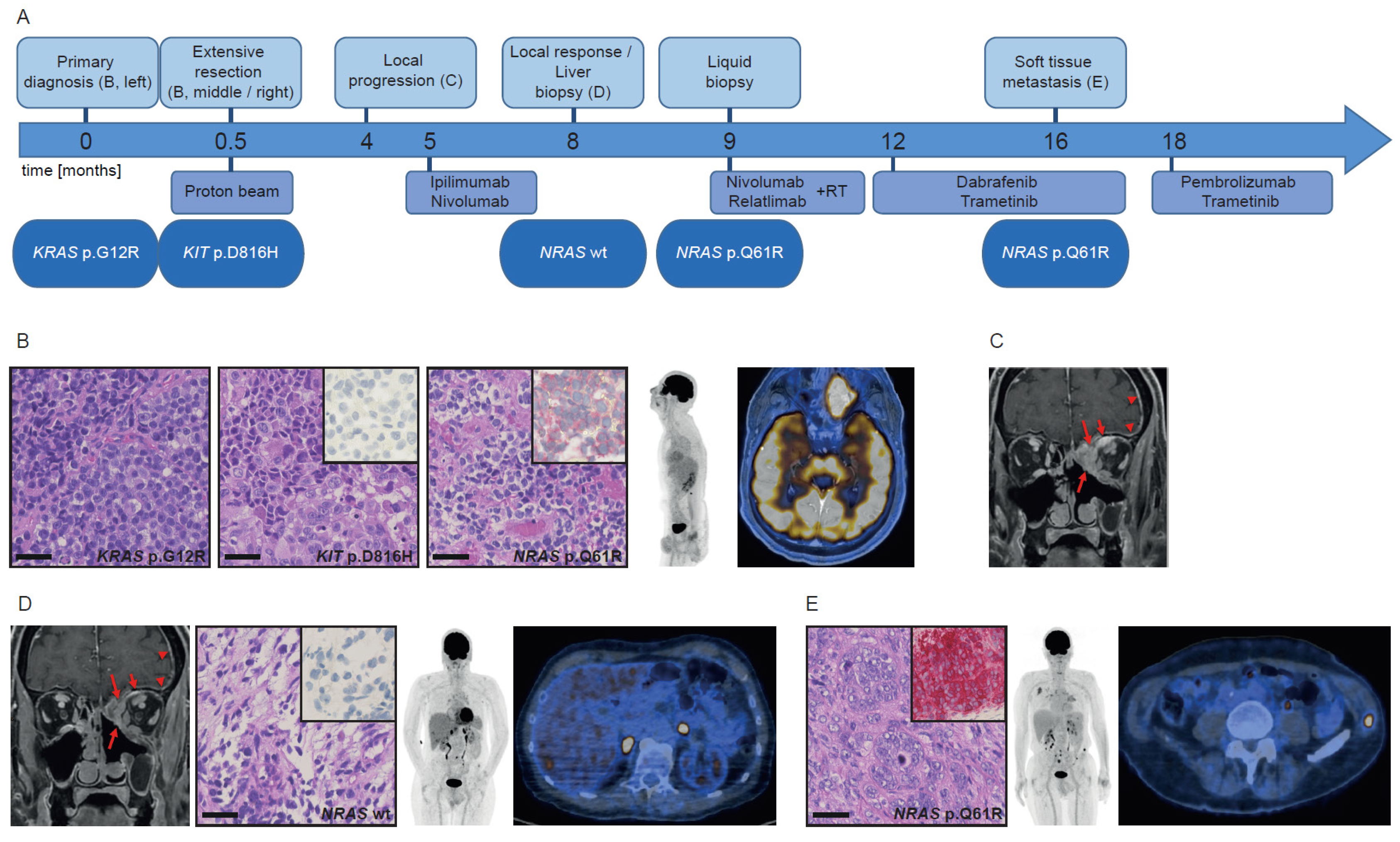 Cancers 13 02725 g001