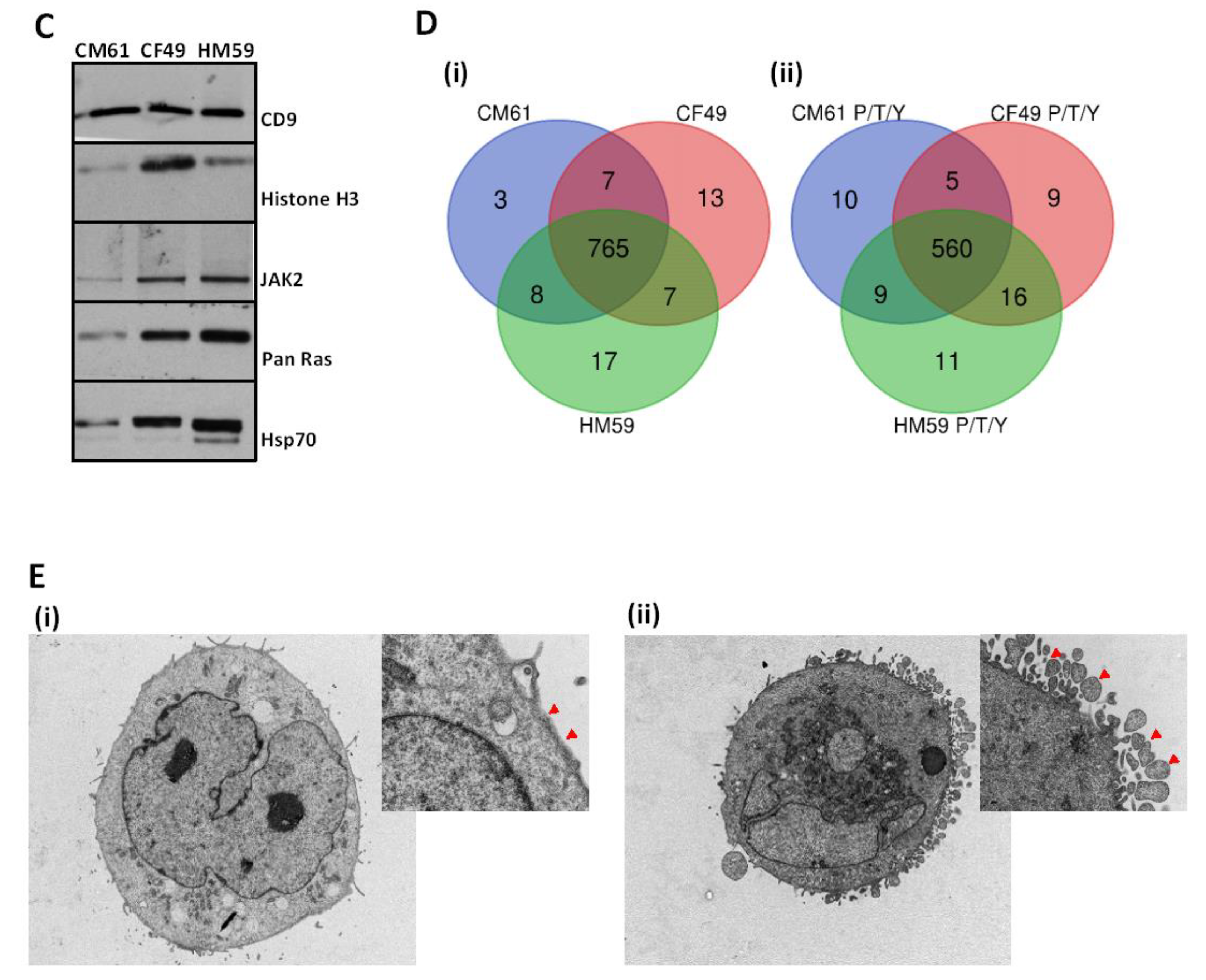 Cancers 13 02727 g001b