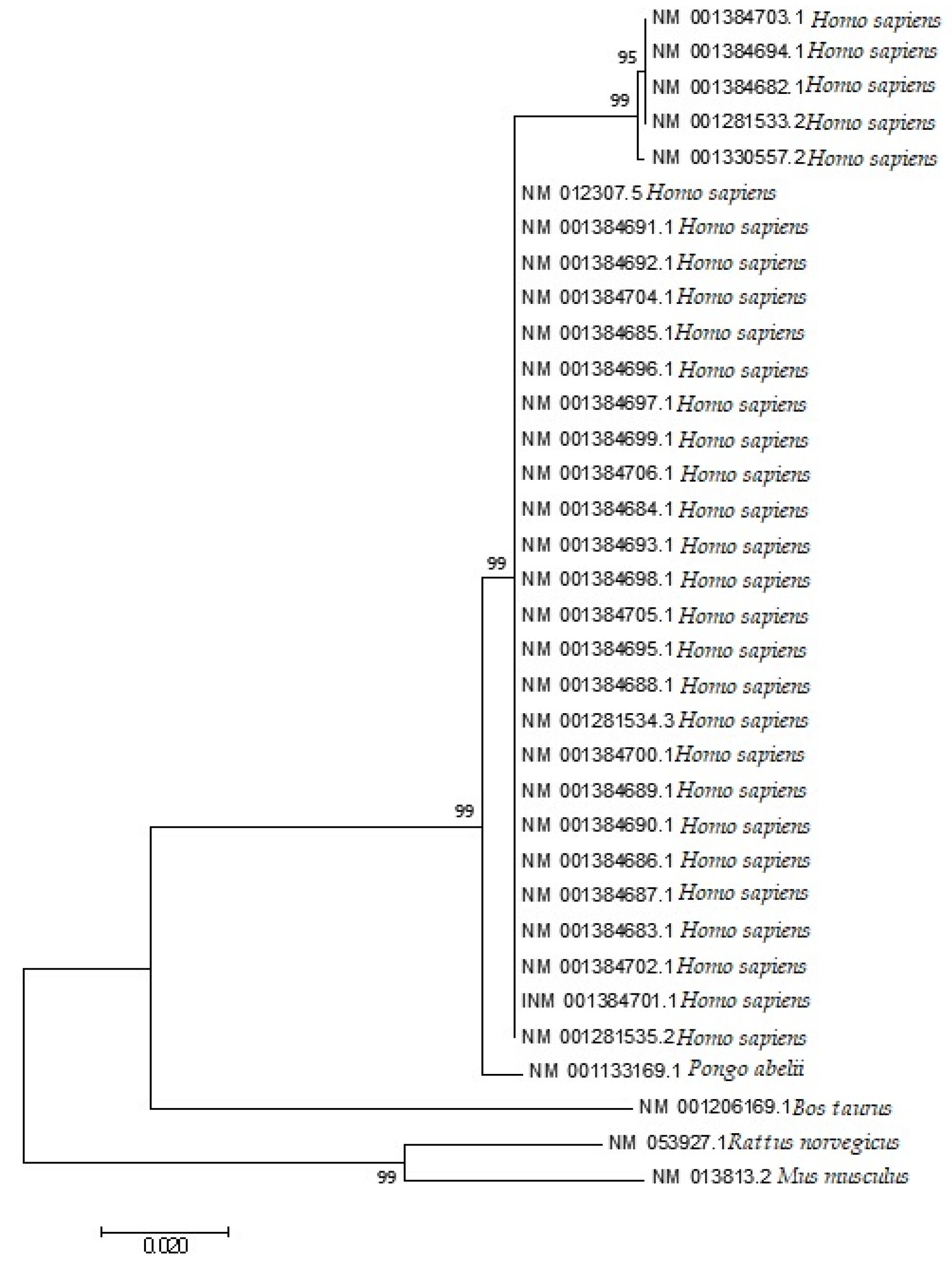 Cancers 13 02739 g009 Cancers 13 02739 g009