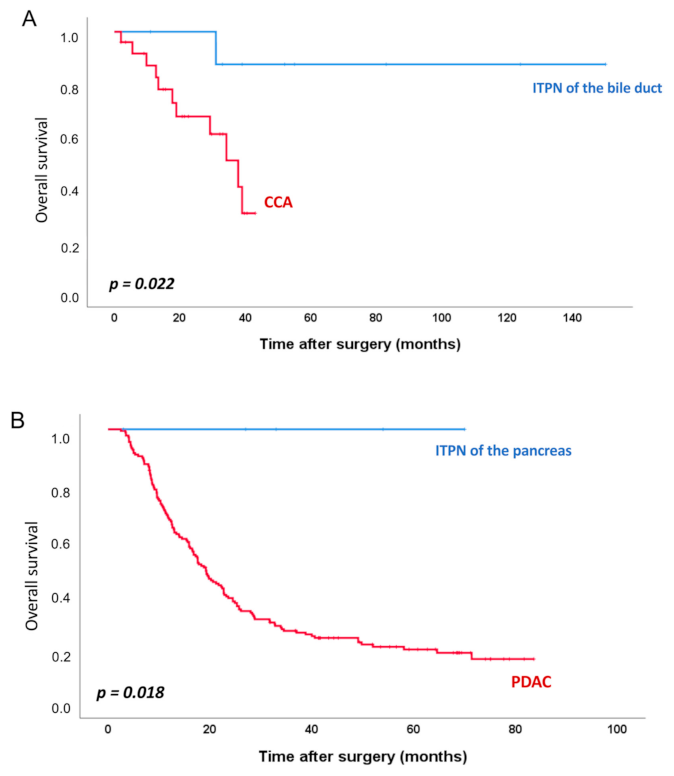 Cancers 13 02742 g002