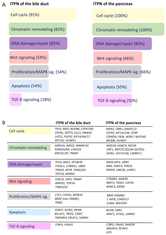 Cancers 13 02742 g005
