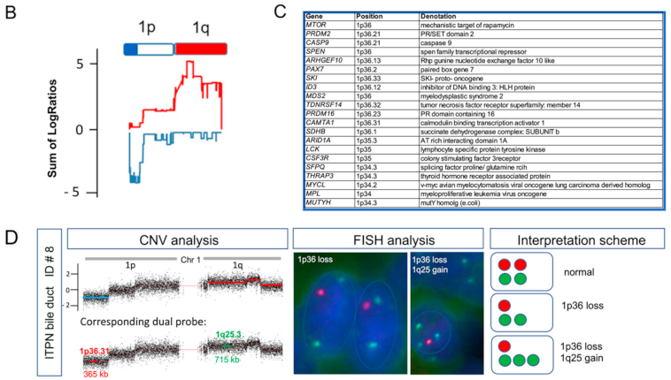 Cancers 13 02742 g006b