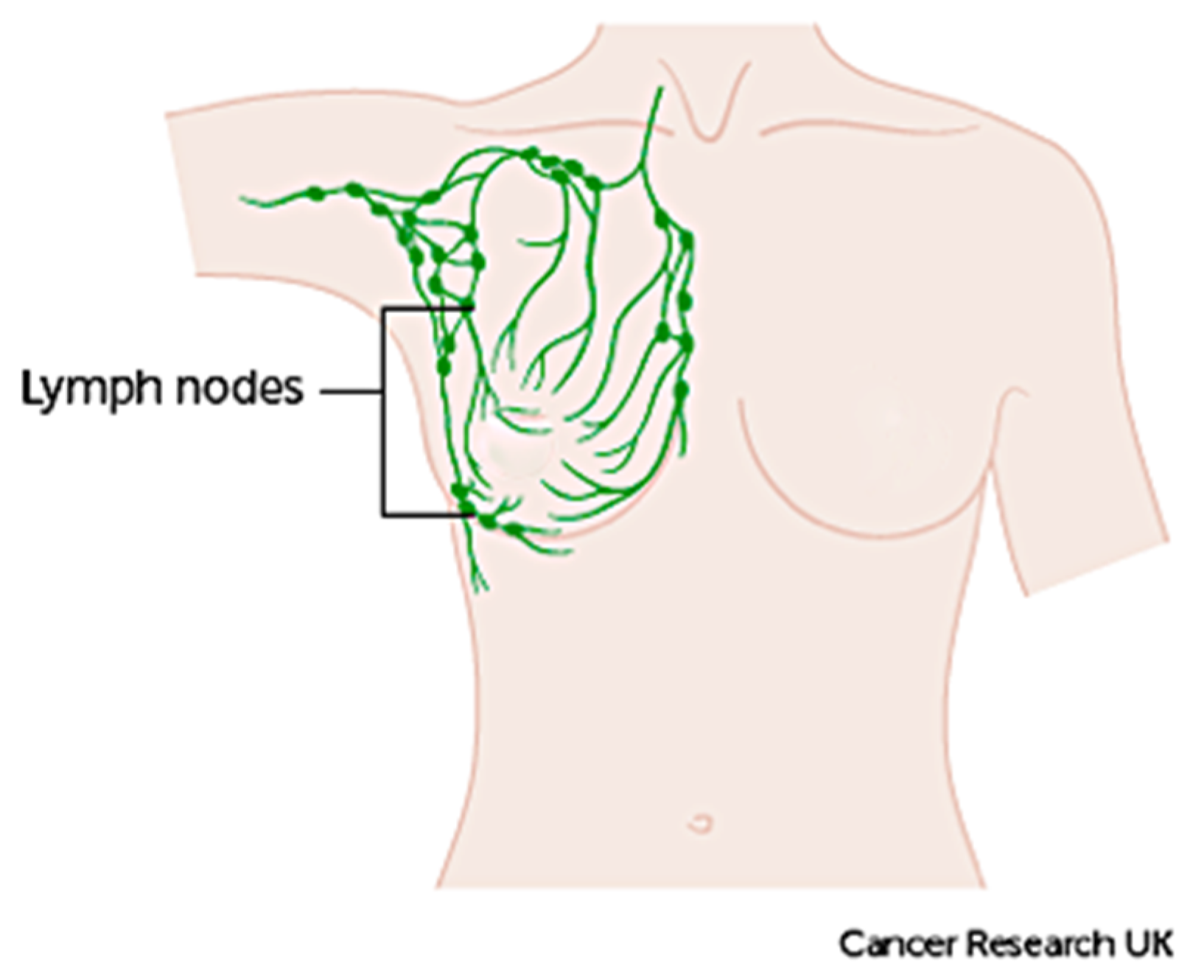 Cancers 13 02764 g004 Cancers 13 02764 g004