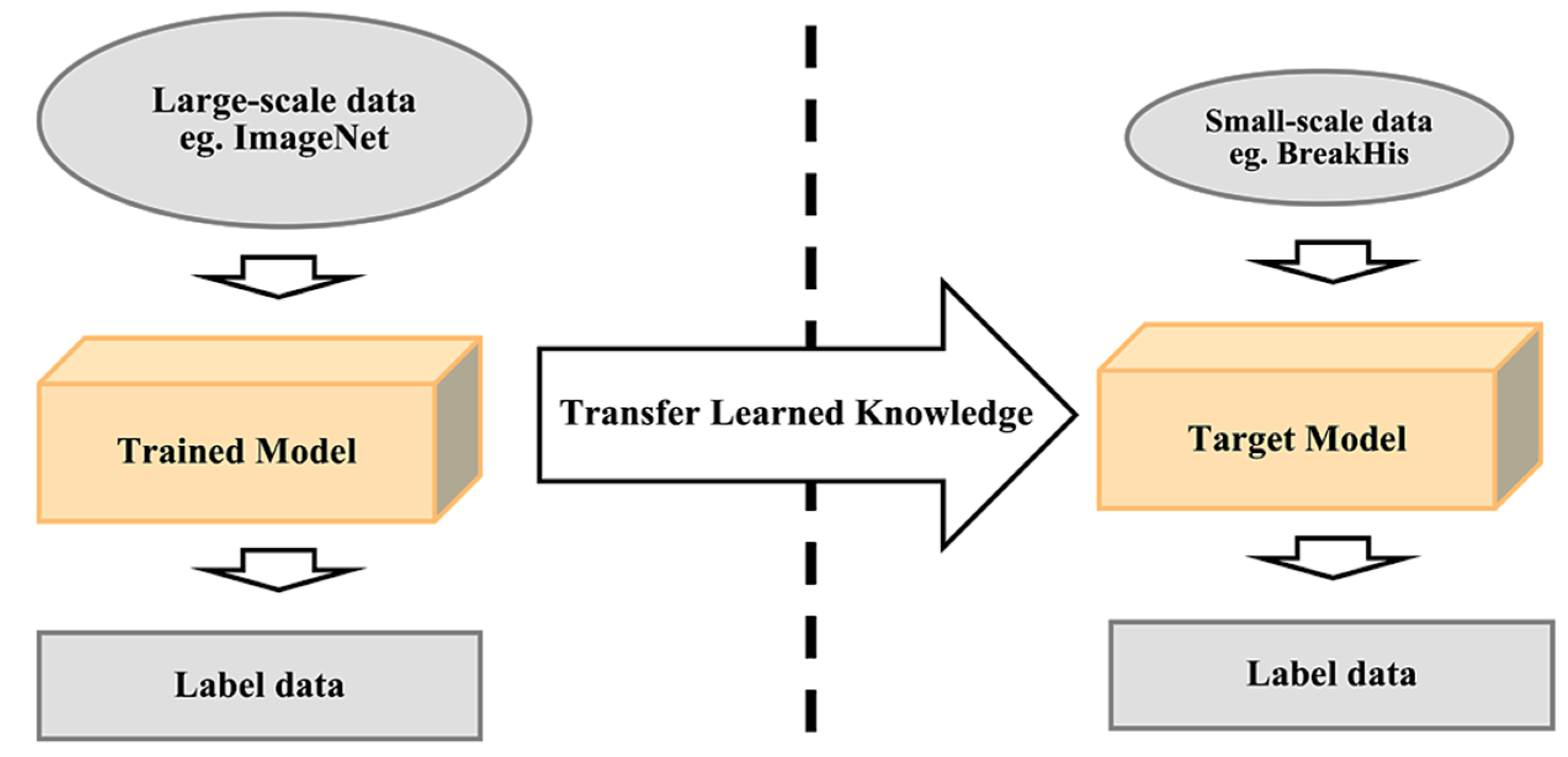 Cancers 13 02764 g014 Cancers 13 02764 g014