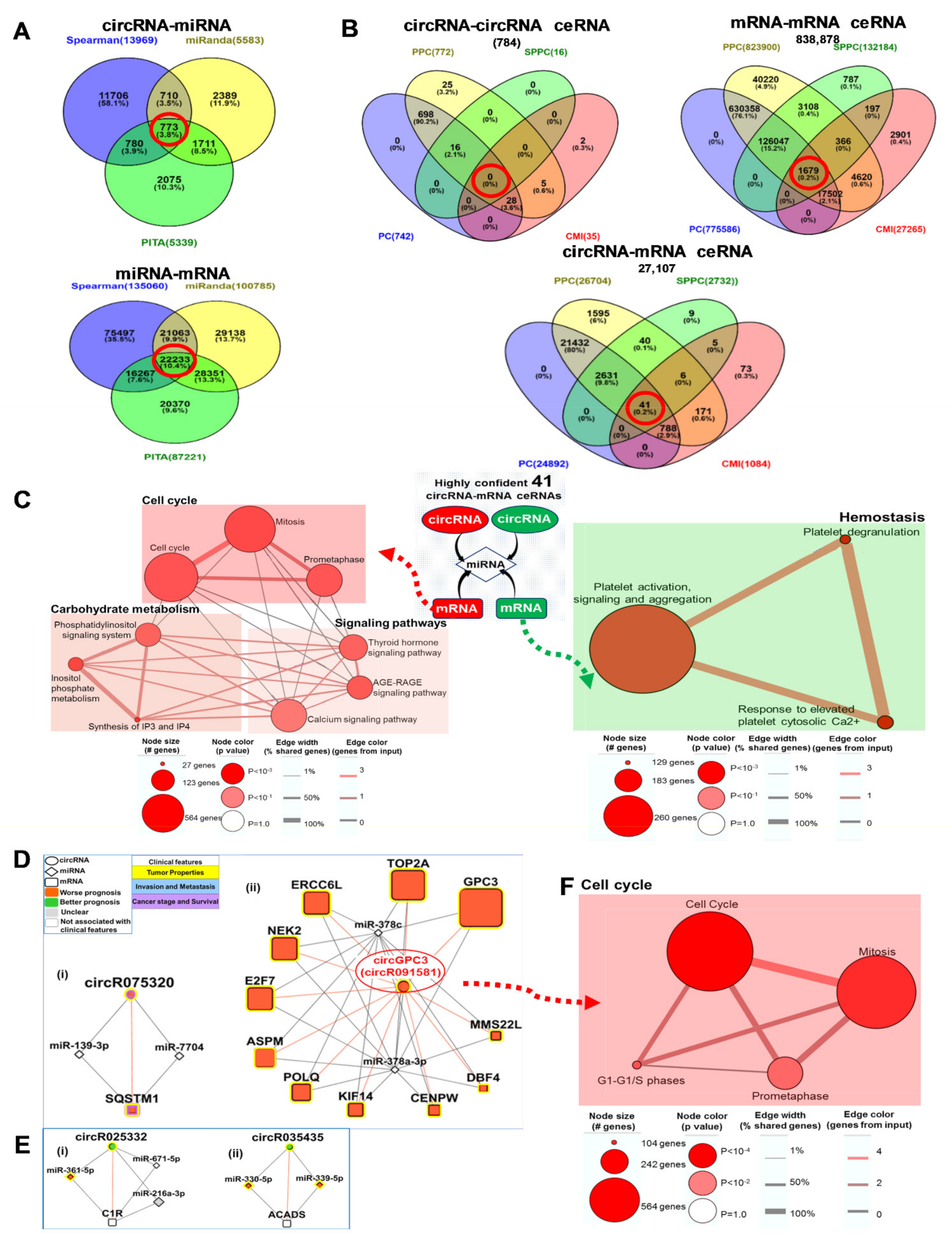 Cancers 13 02772 g004