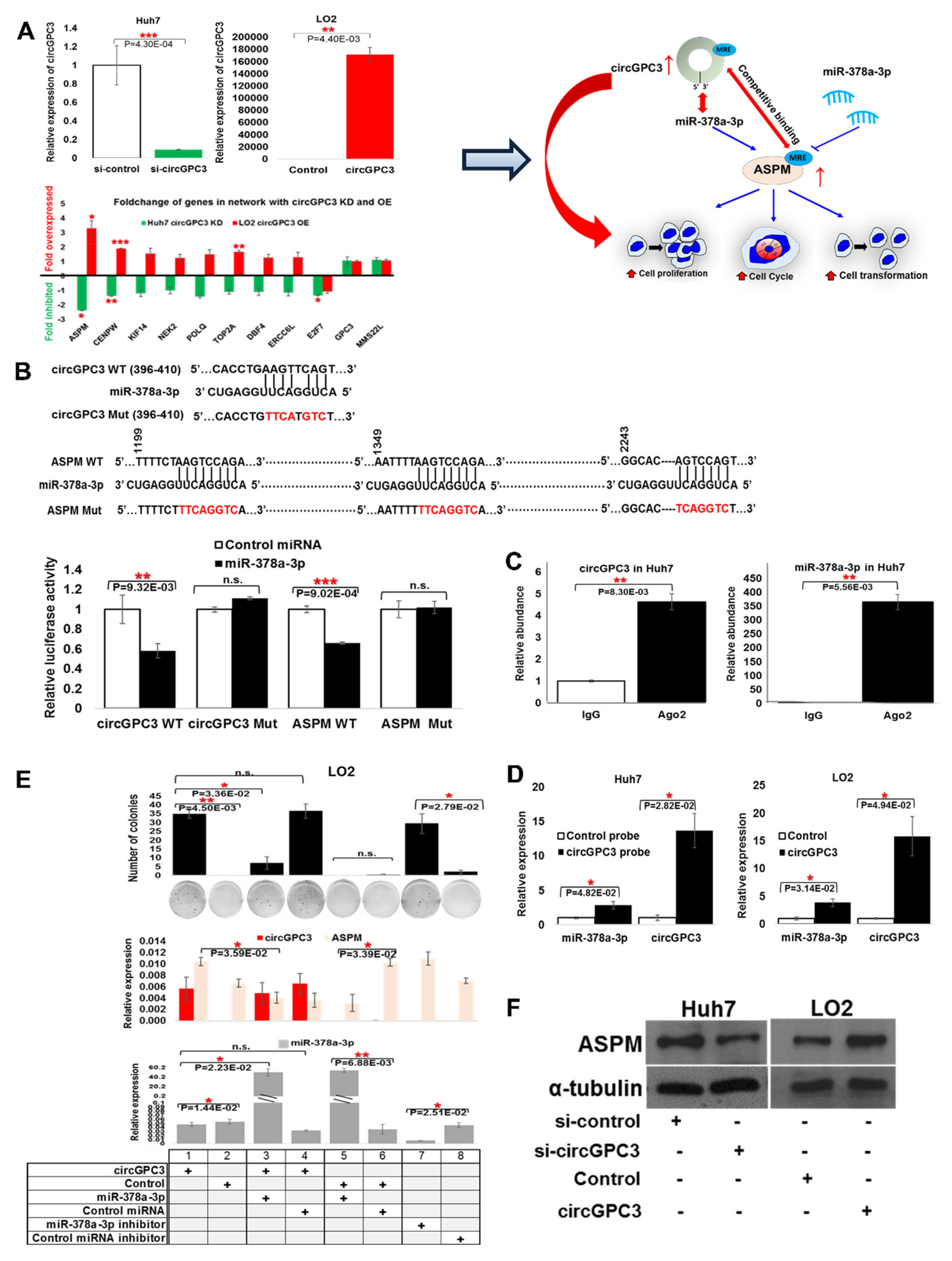 Cancers 13 02772 g006