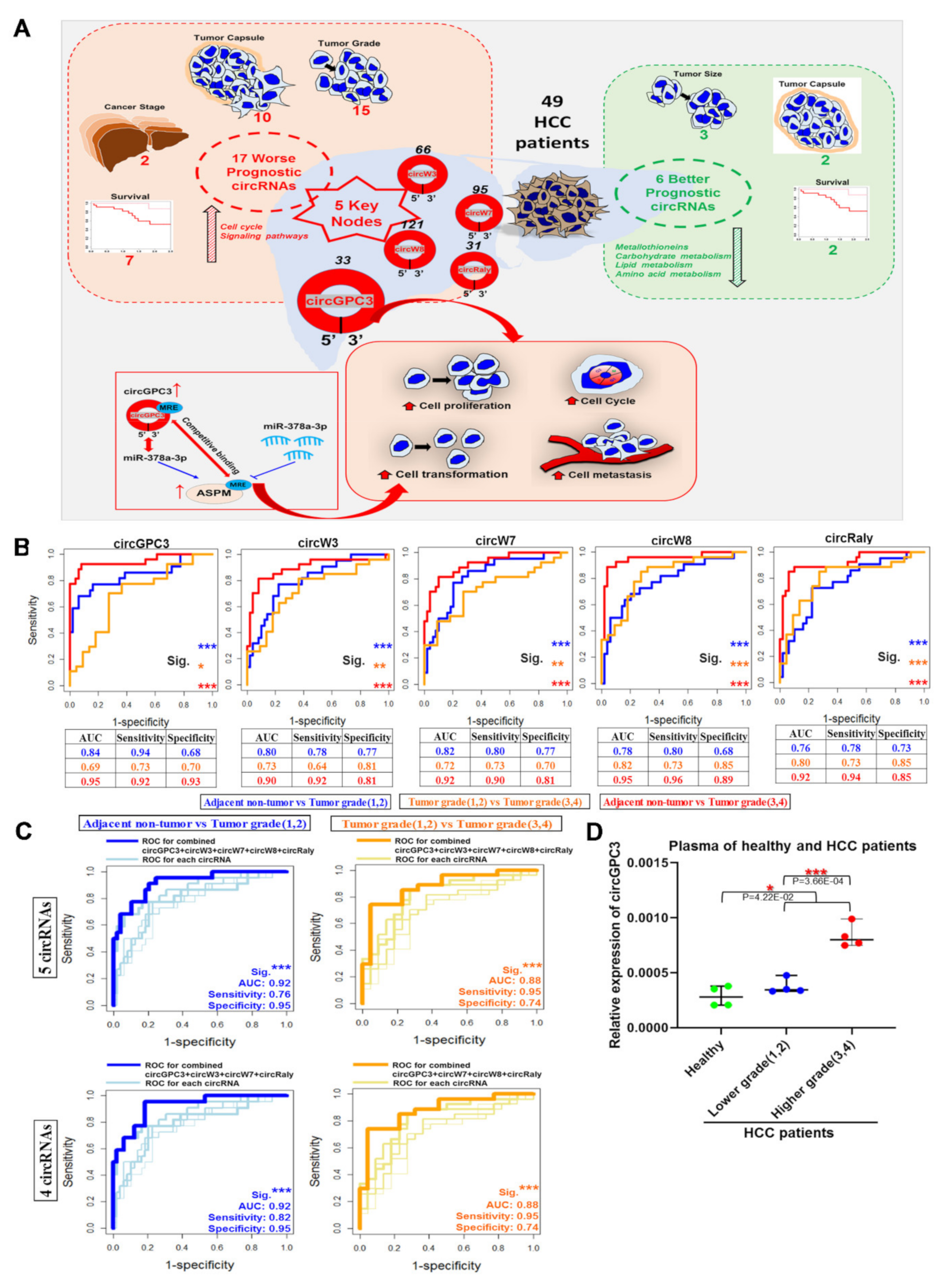 Cancers 13 02772 g007