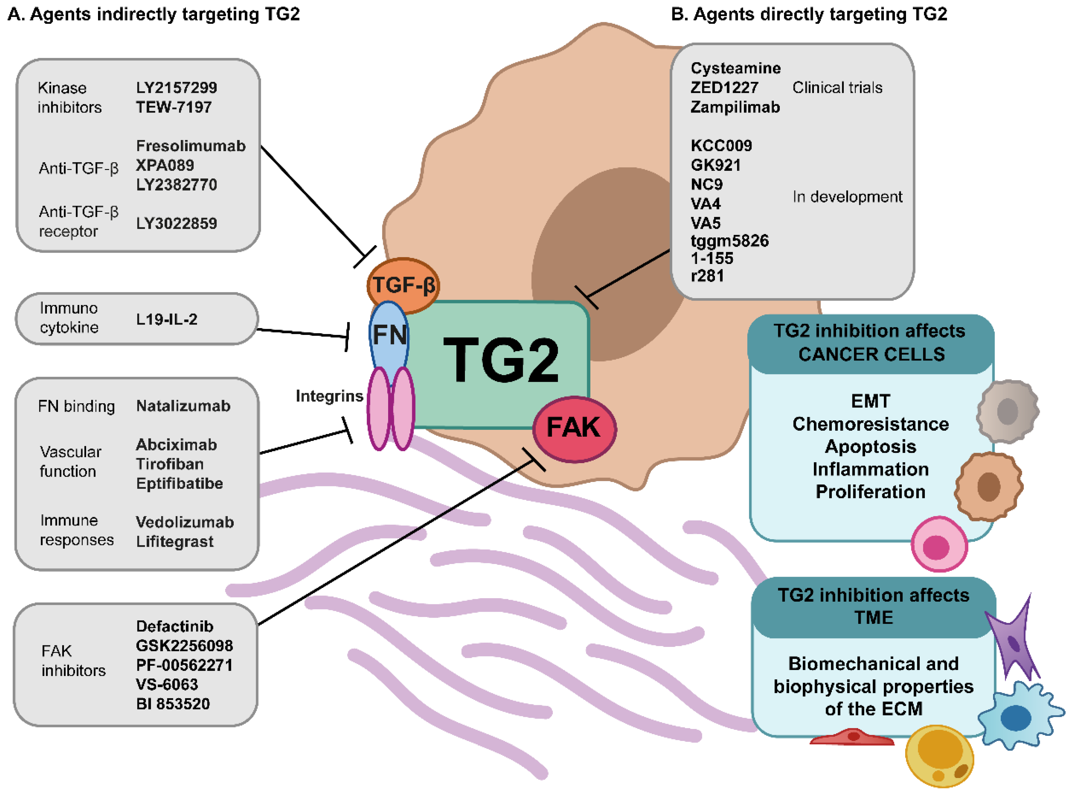 Cancers 13 02788 g002