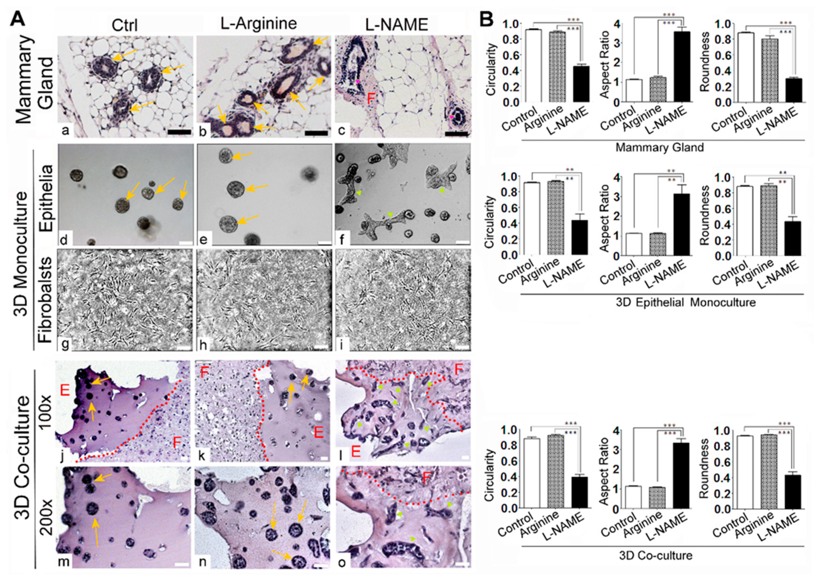 Cancers 13 02815 g003 Cancers 13 02815 g003