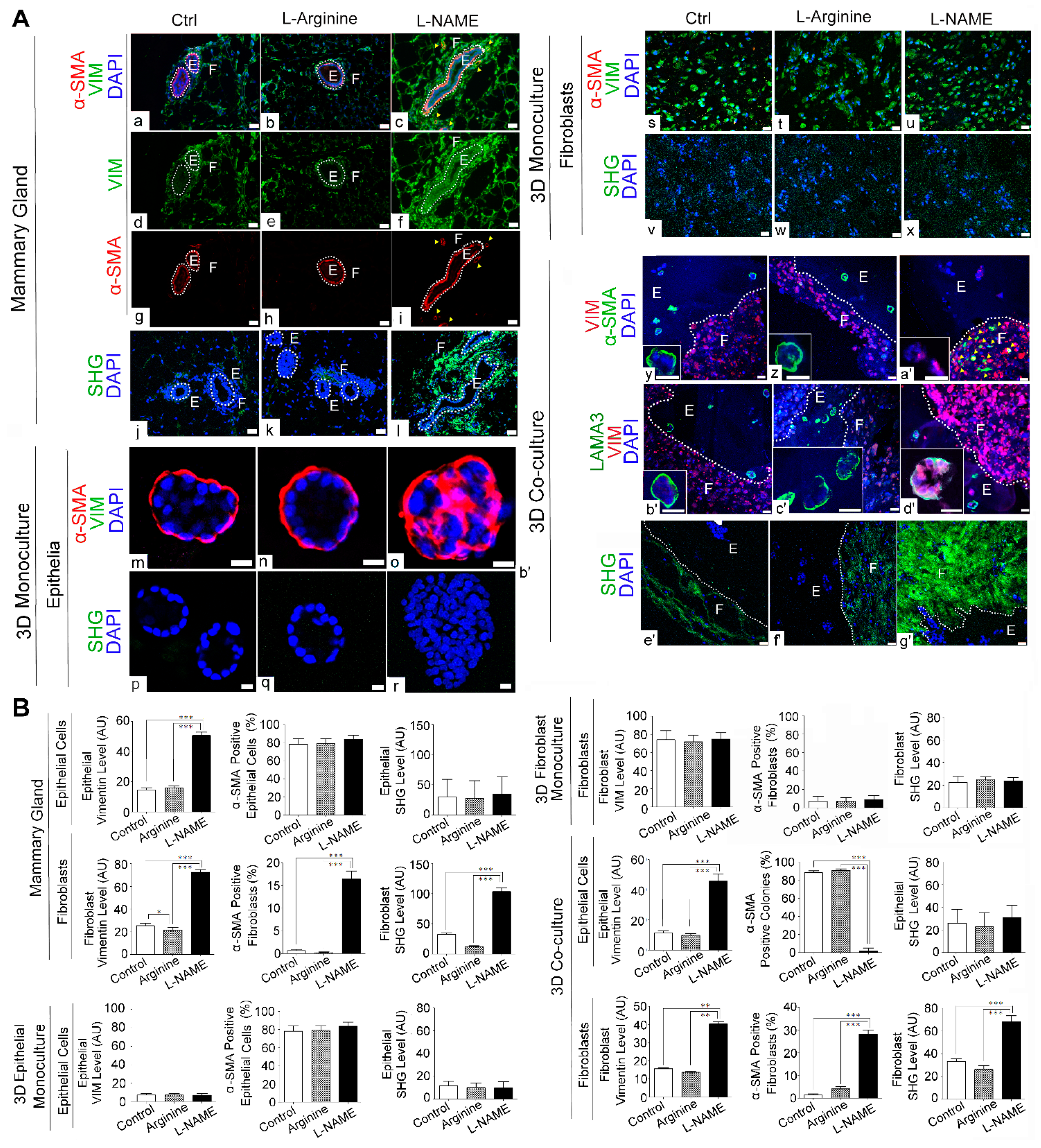 Cancers 13 02815 g004 Cancers 13 02815 g004