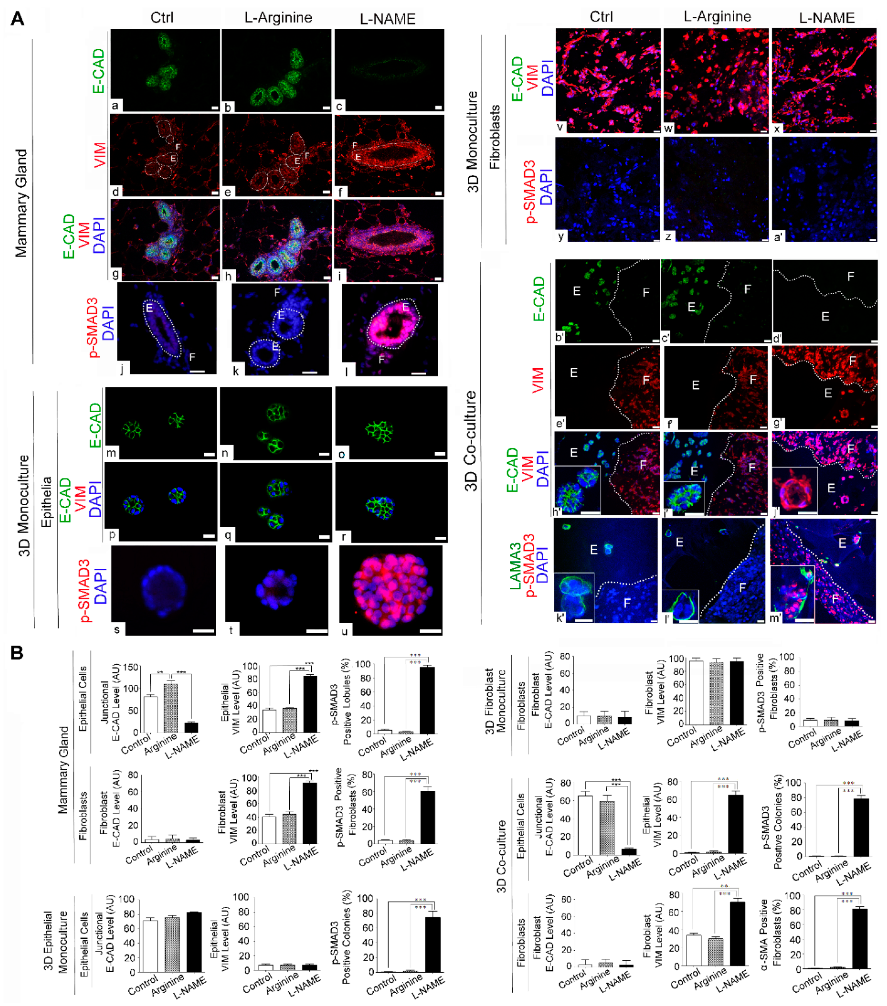 Cancers 13 02815 g005 Cancers 13 02815 g005