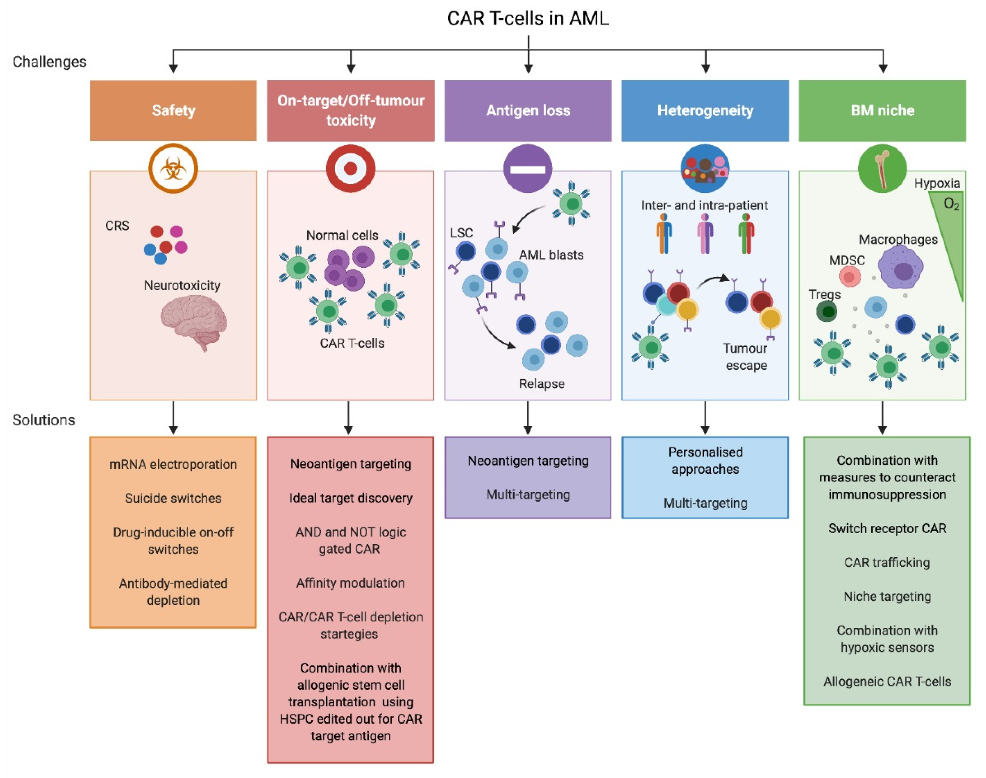 Cancers | Free Full-Text | Driving CAR T Stem Cell Targeting In Acute ...