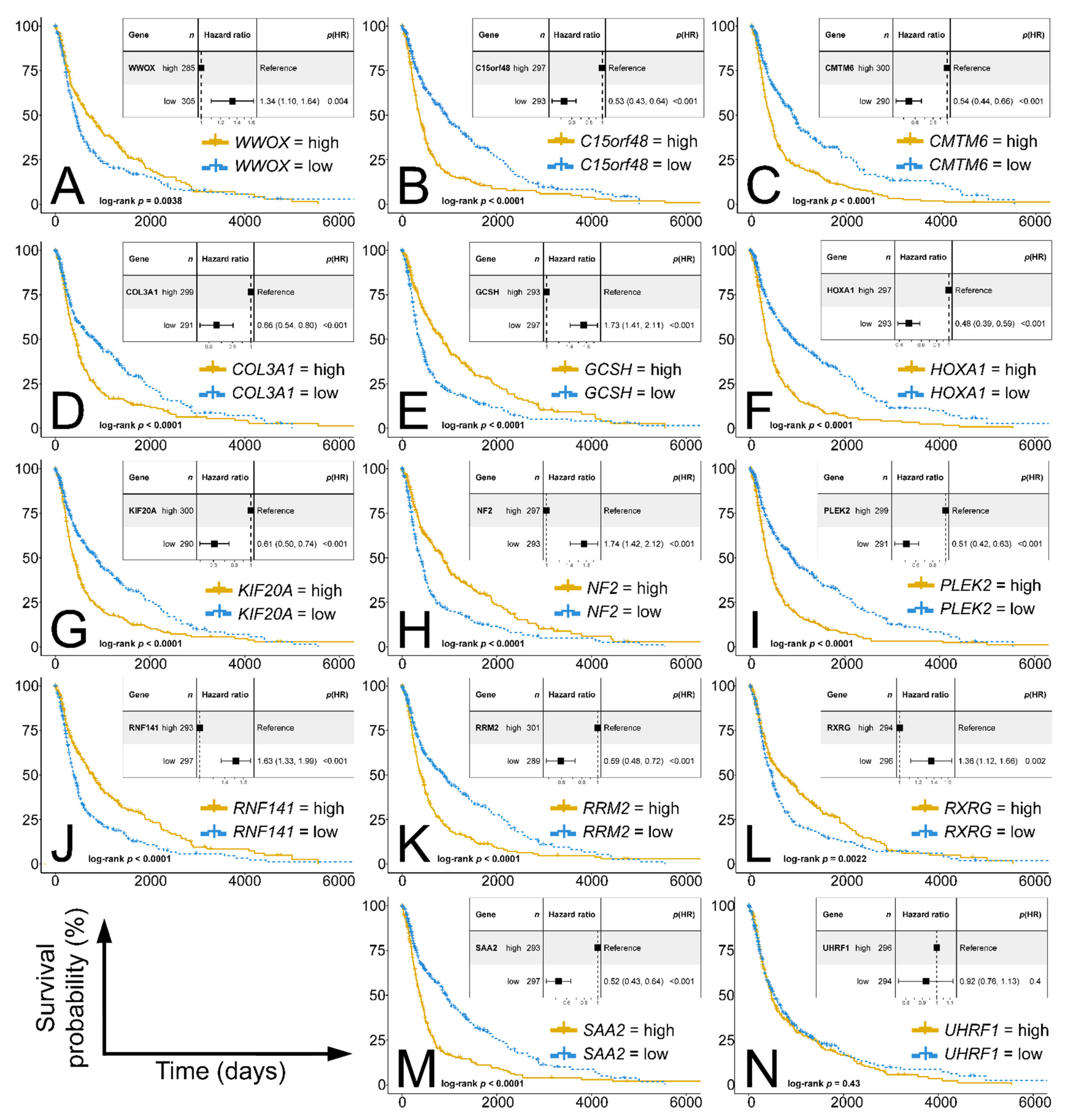 Cancers 13 02955 g007 Cancers 13 02955 g007