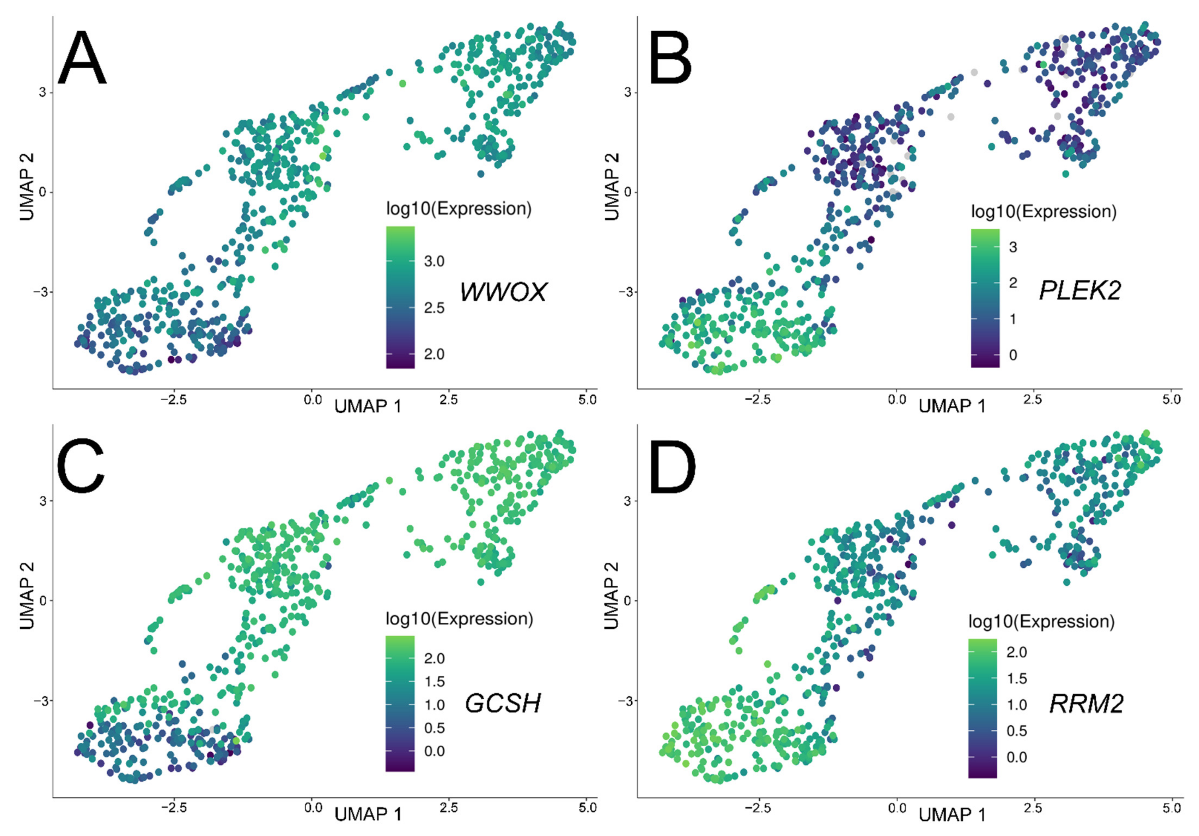 Cancers 13 02955 g008 Cancers 13 02955 g008