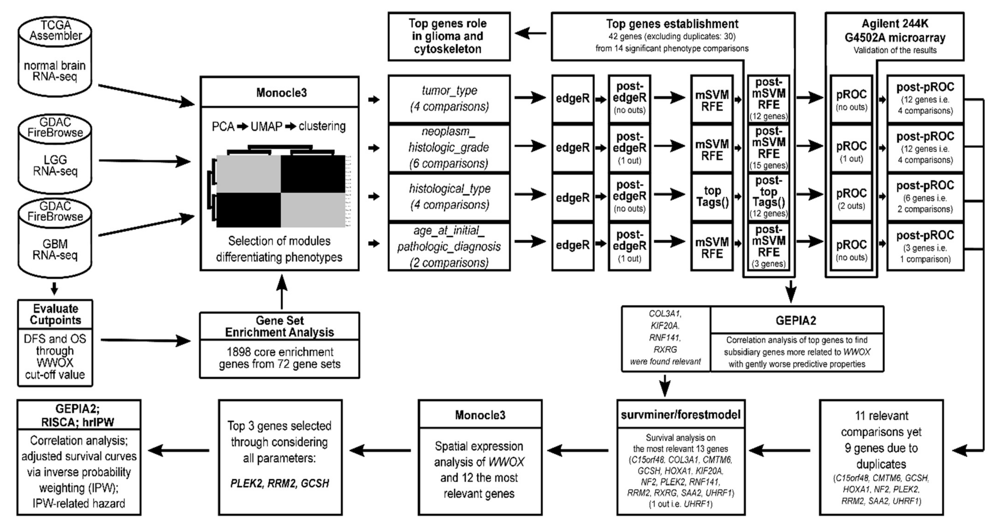 Cancers 13 02955 g010 Cancers 13 02955 g010