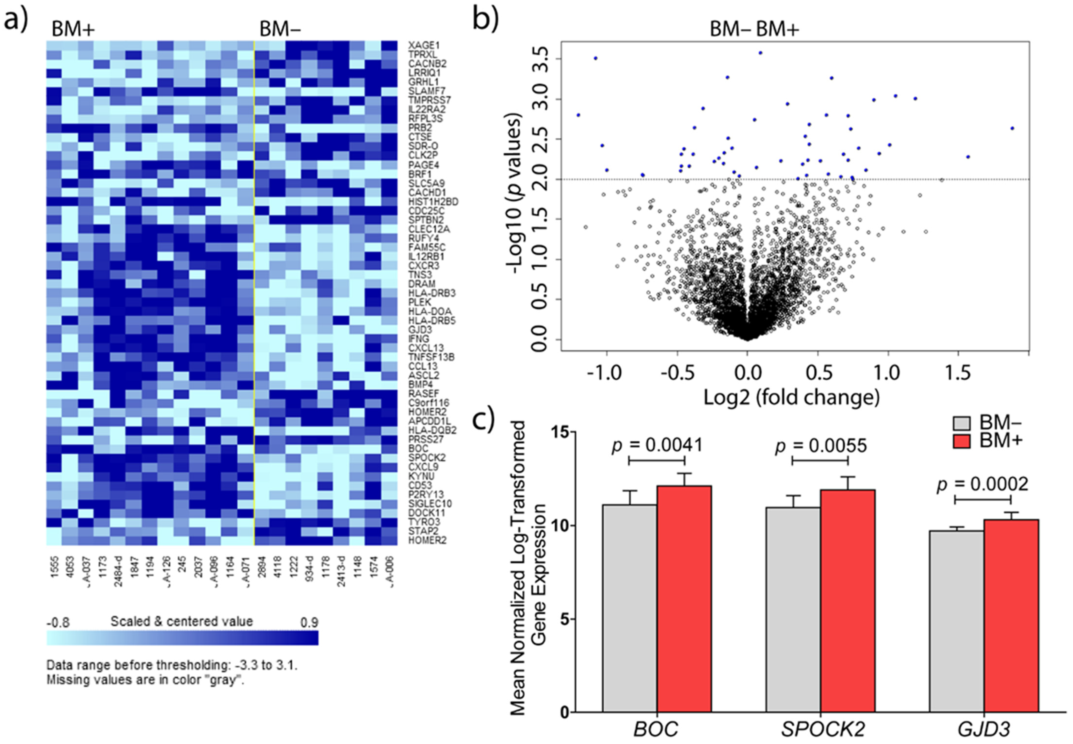 Cancers 13 02982 g001