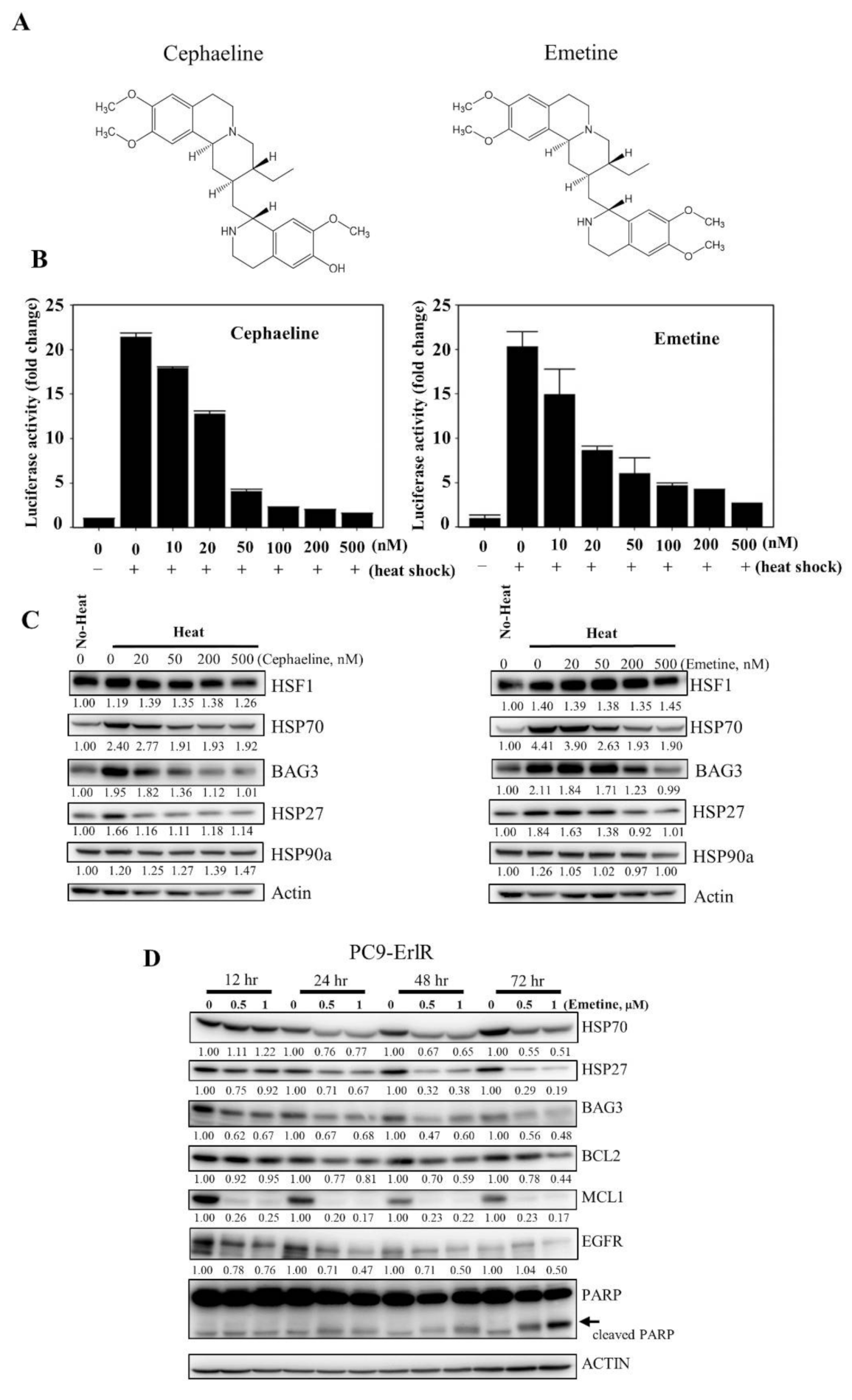 Cancers 13 02987 g006a