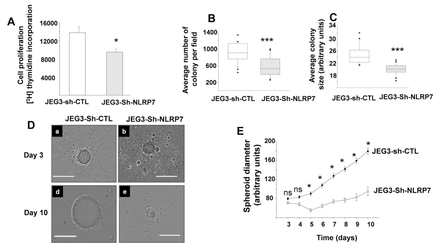Cancers 13 02999 g002 Cancers 13 02999 g002