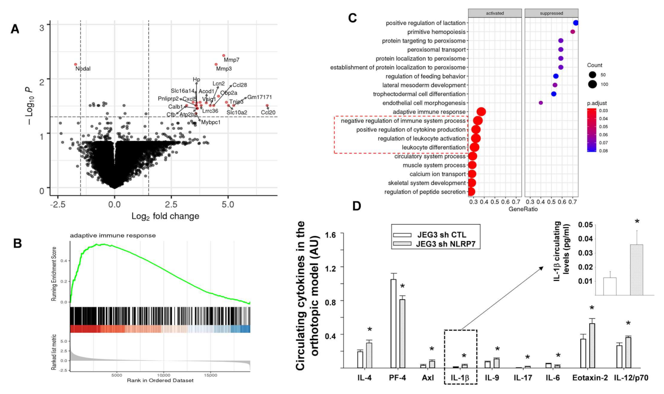 Cancers 13 02999 g007 Cancers 13 02999 g007