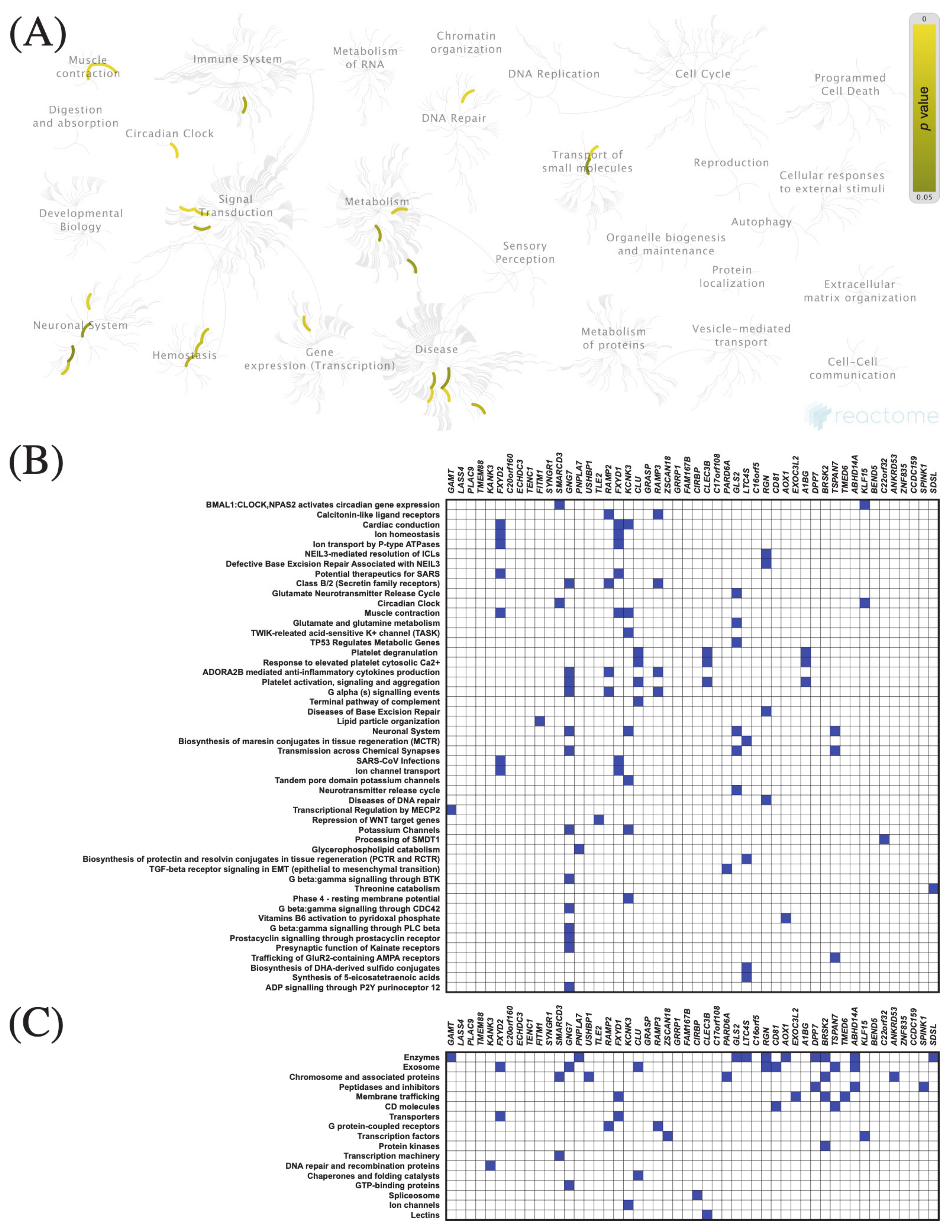 Cancers 13 03017 g008 Cancers 13 03017 g008