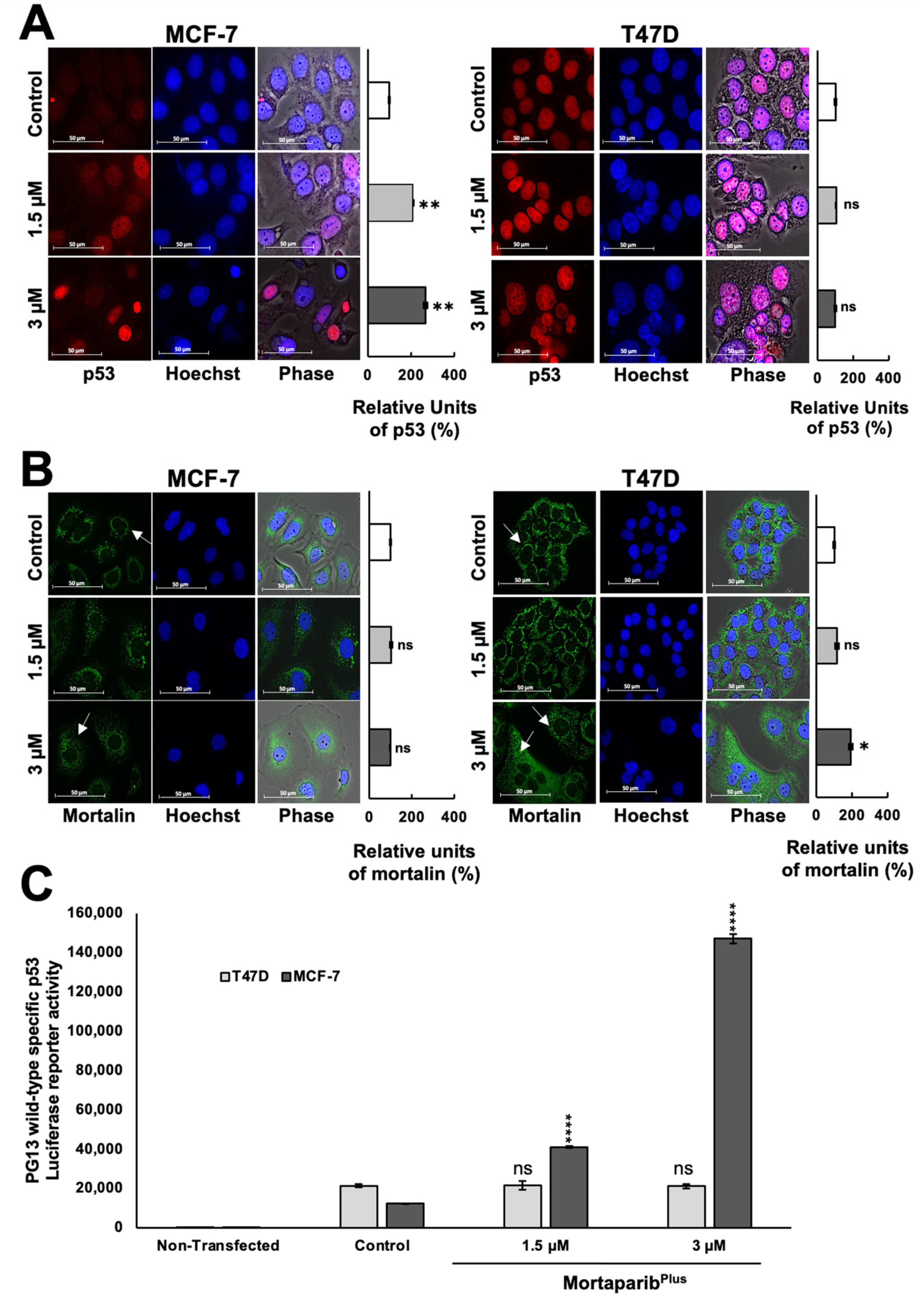 Cancers 13 03043 g003