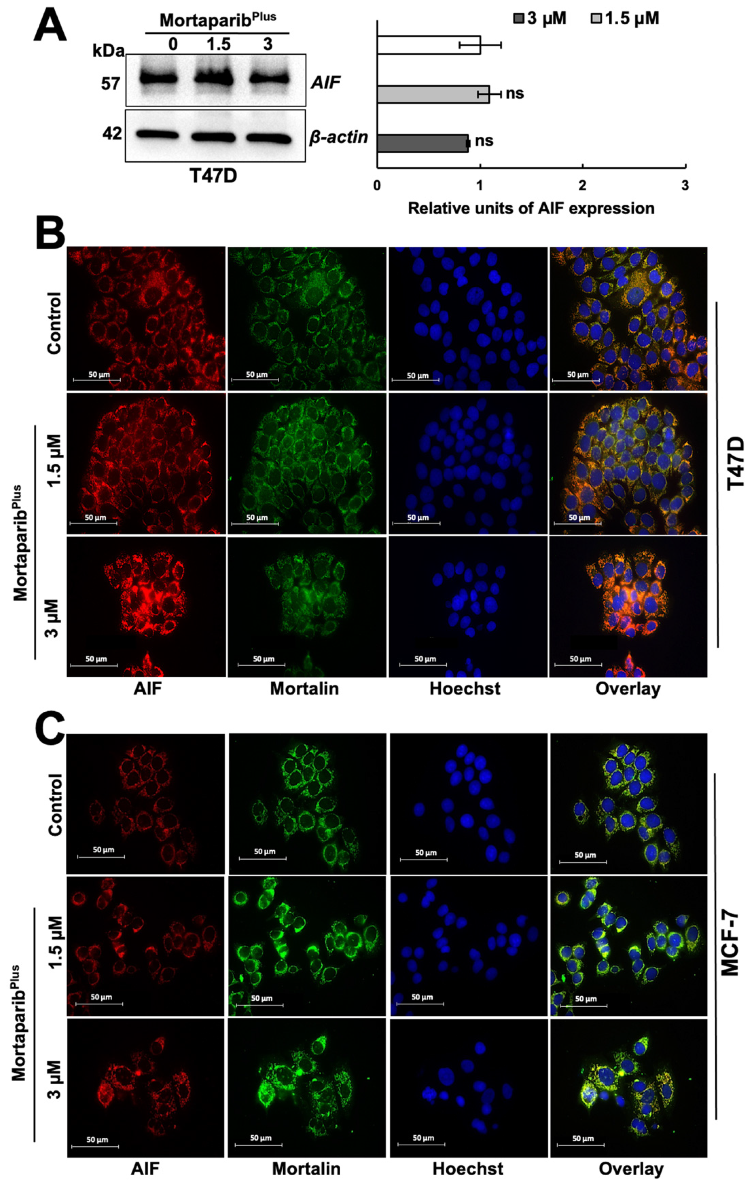Cancers 13 03043 g007
