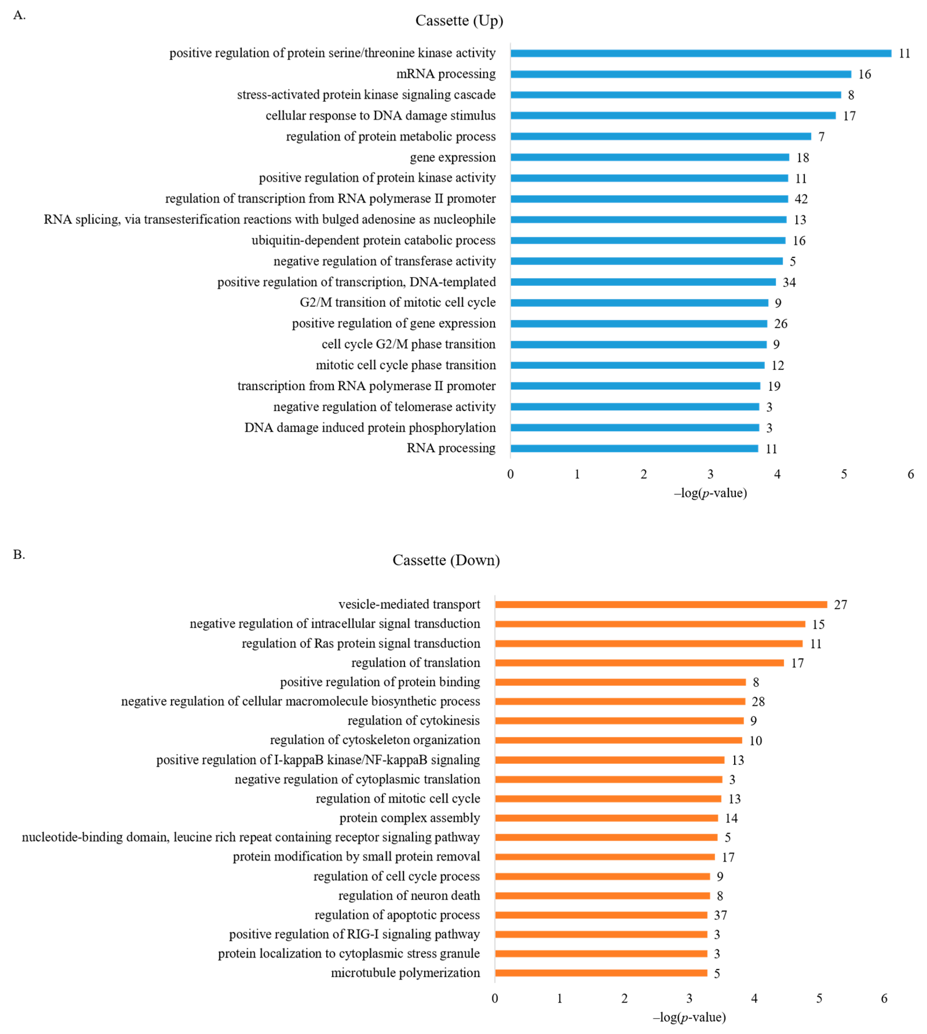 Cancers 13 03071 g002 Cancers 13 03071 g002