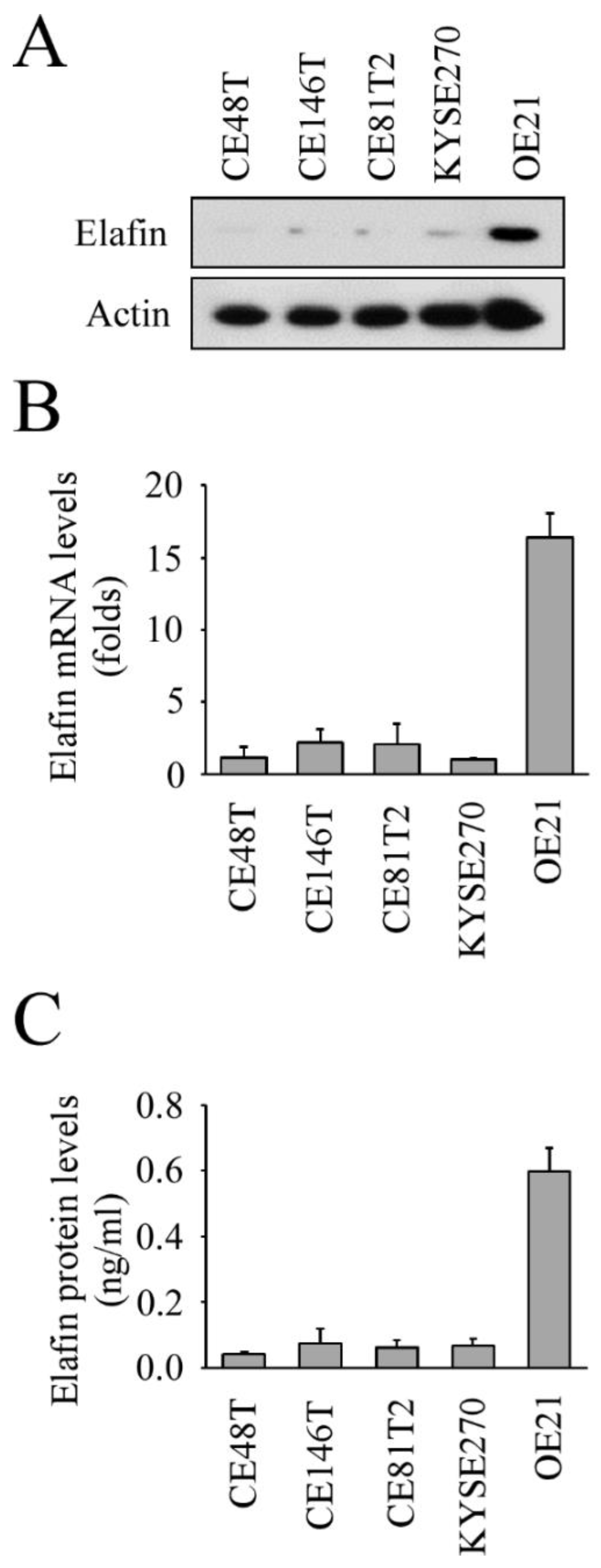 Cancers 13 03082 g002 Cancers 13 03082 g002