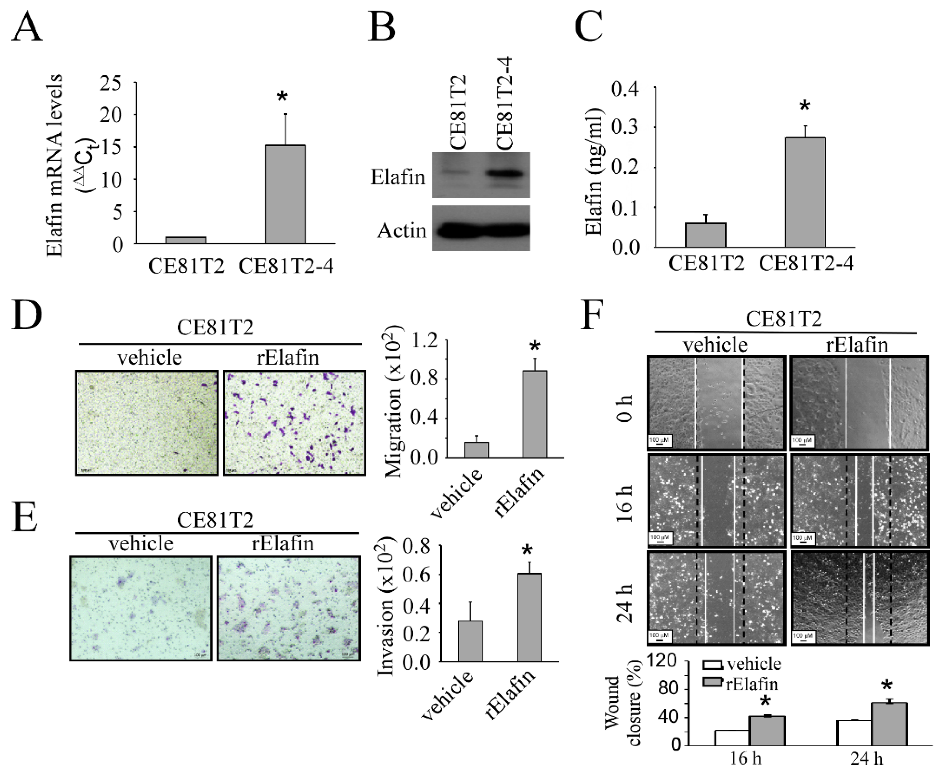 Cancers 13 03082 g003 Cancers 13 03082 g003