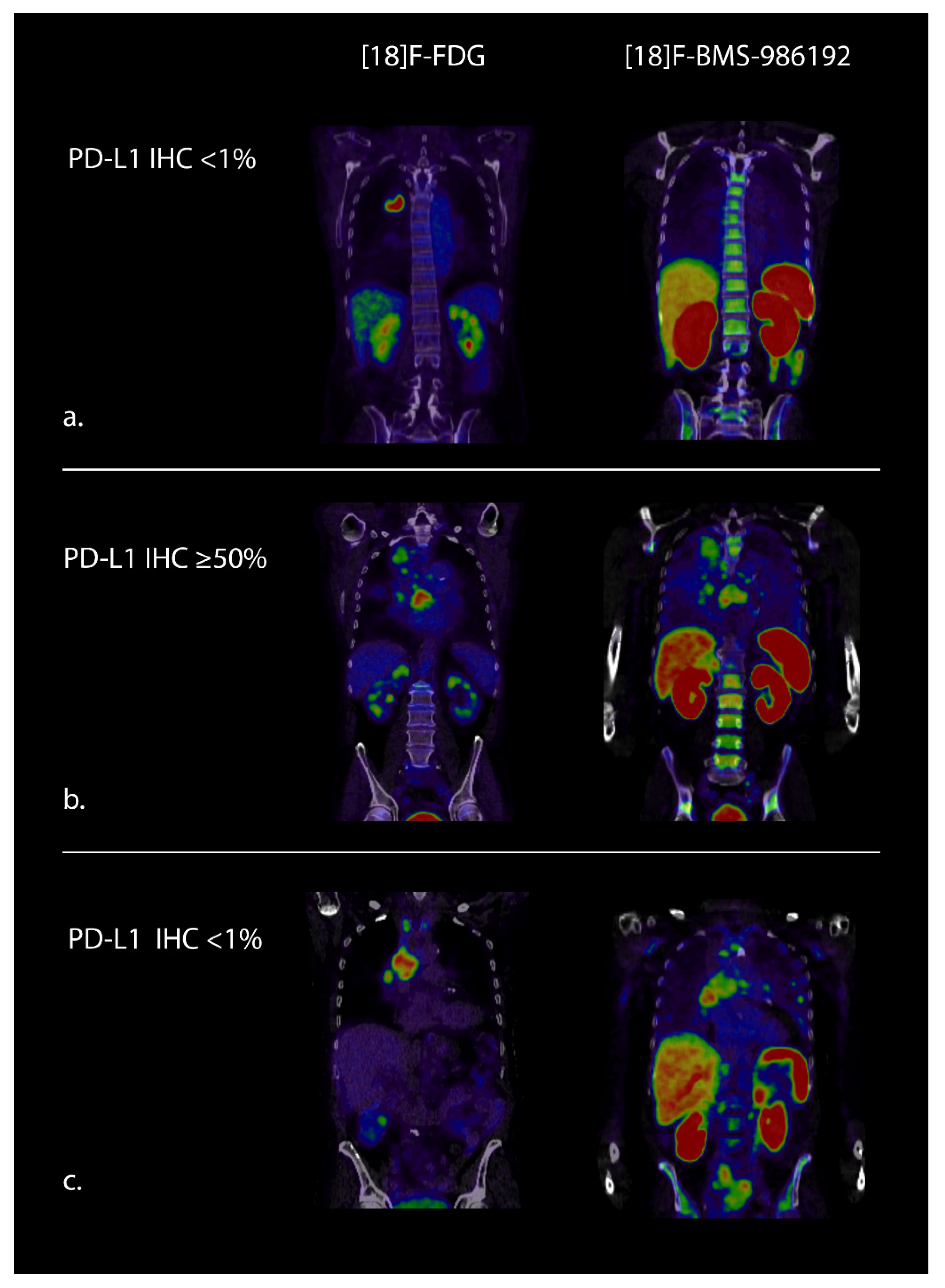 Cancers 13 03083 g001