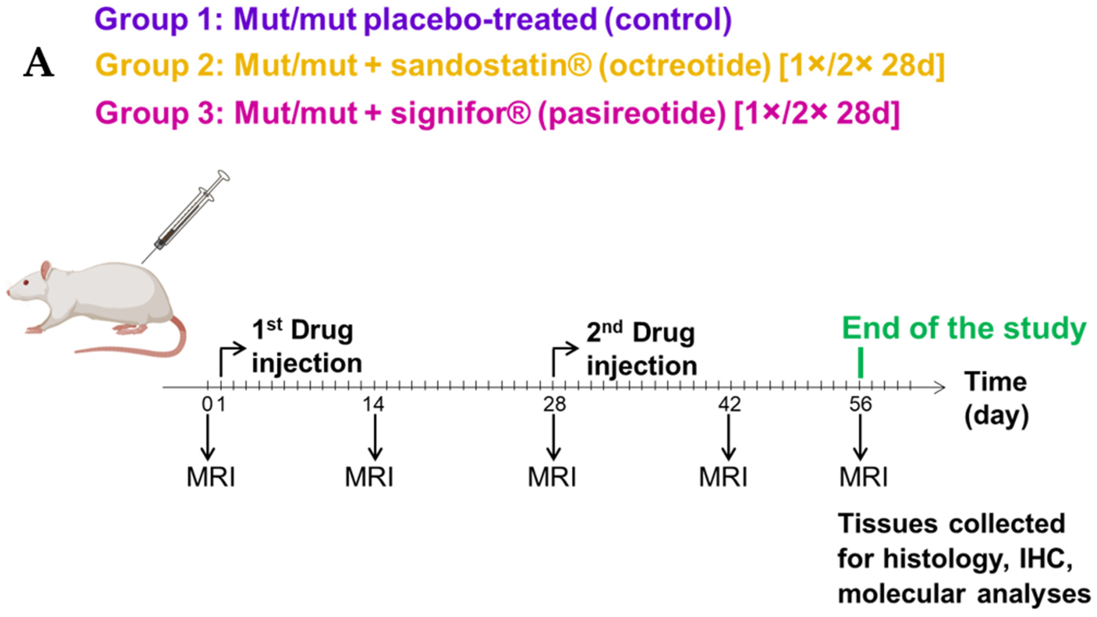 Cancers 13 03097 g001a