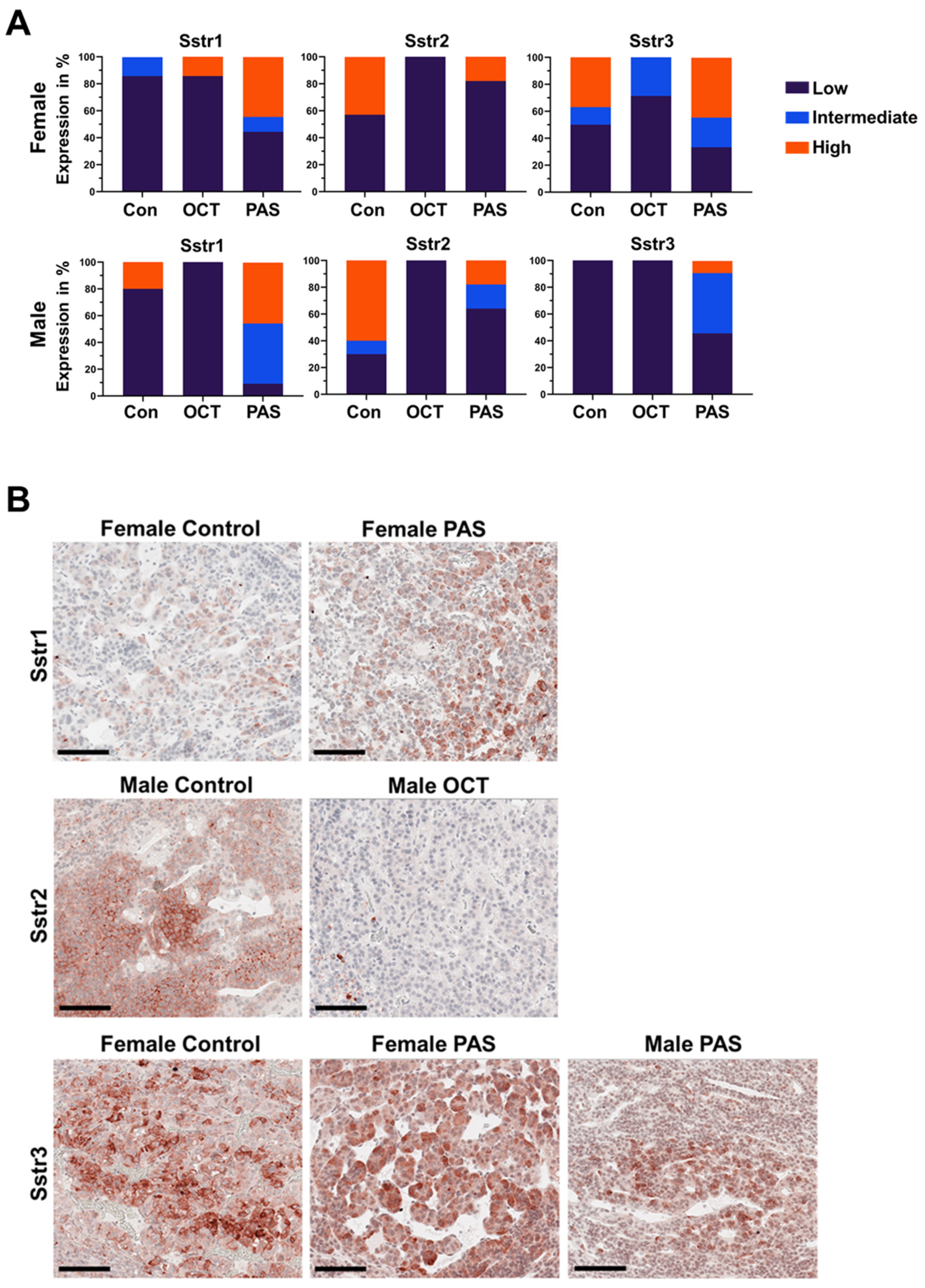 Cancers 13 03097 g006
