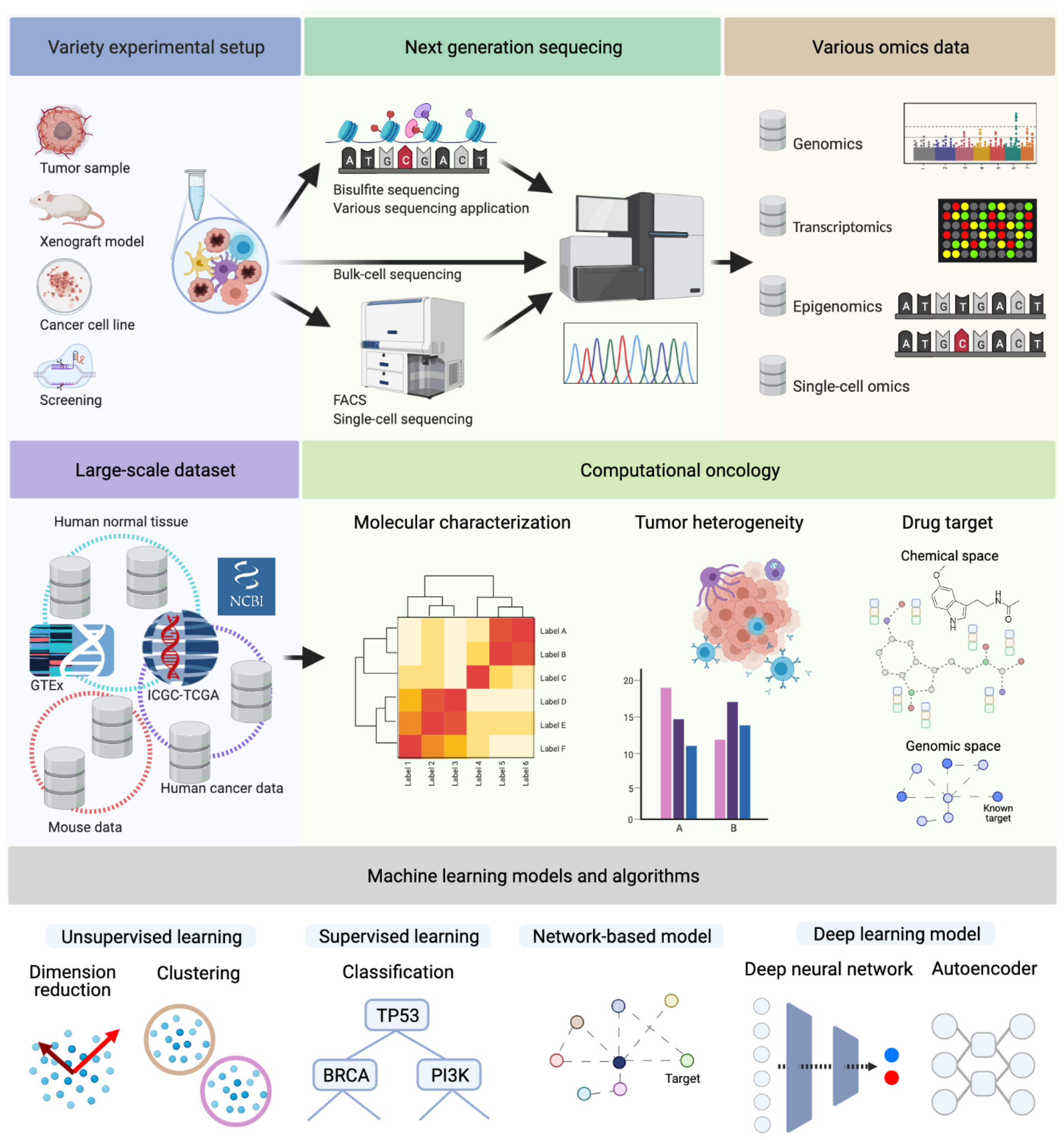 Cancers | Free Full-Text | Integrative Analysis of Next-Generation  Sequencing for Next-Generation Cancer Research toward Artificial  Intelligence