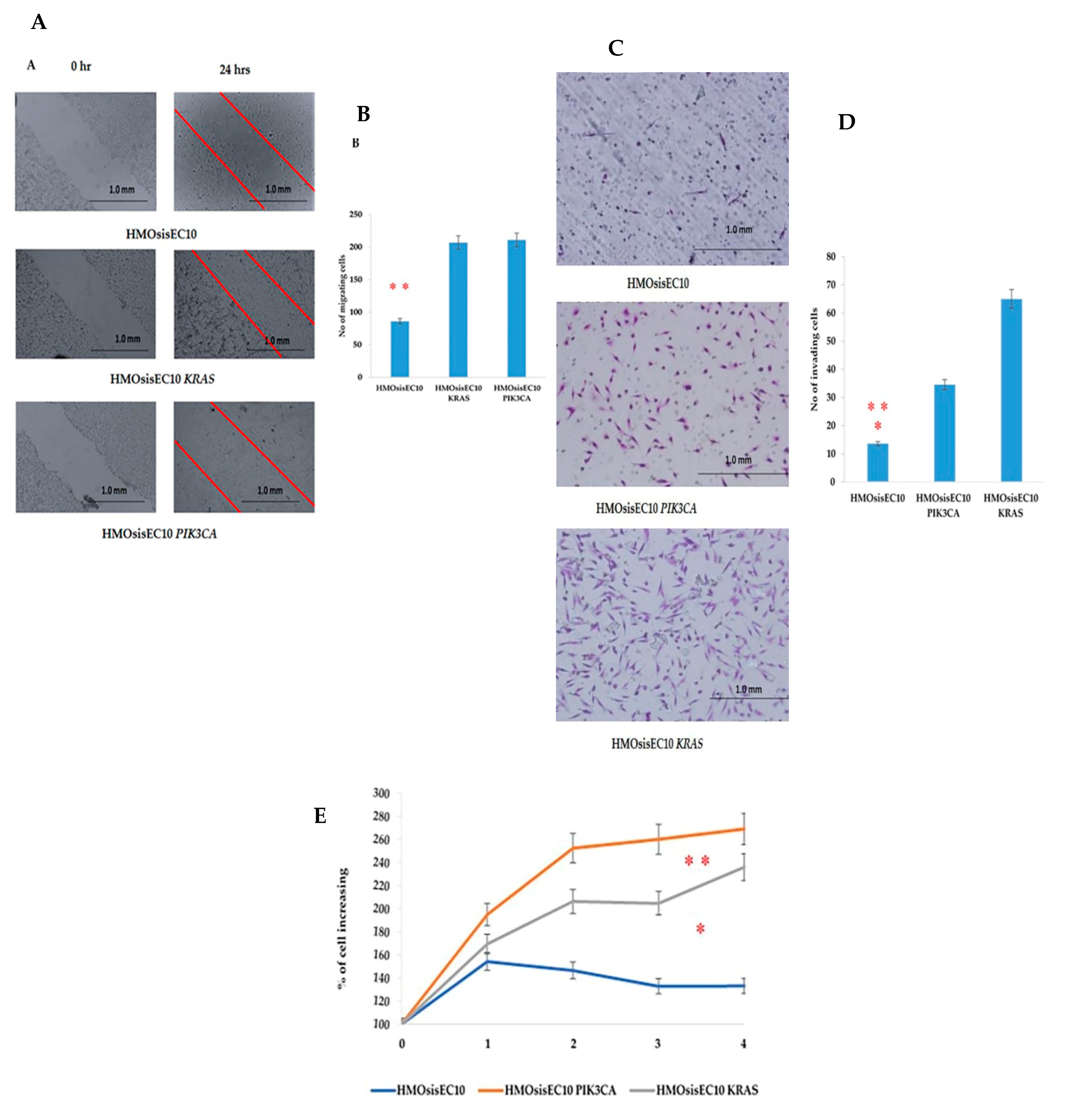 Cancers 13 03174 g001