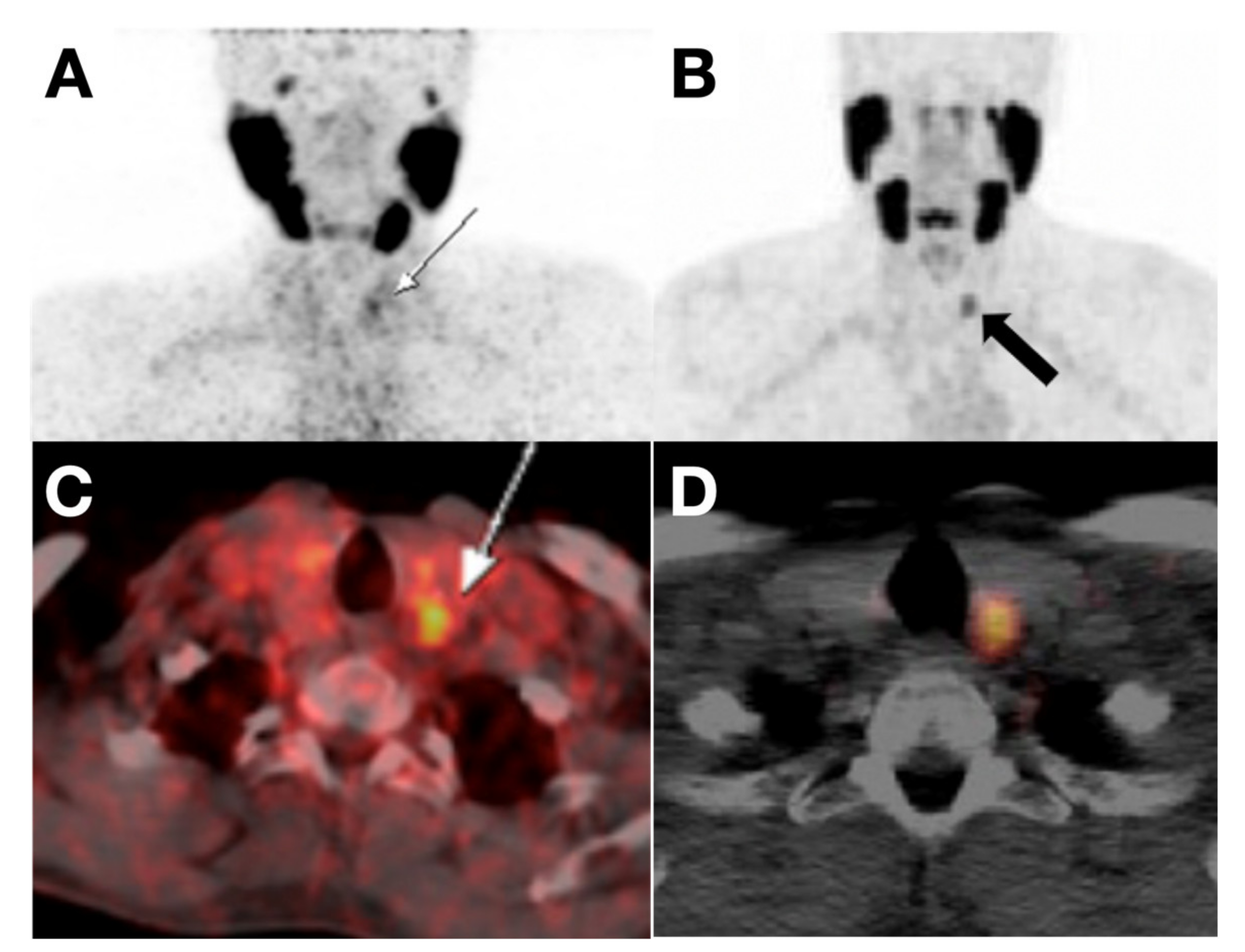 Cancers 13 03188 g006