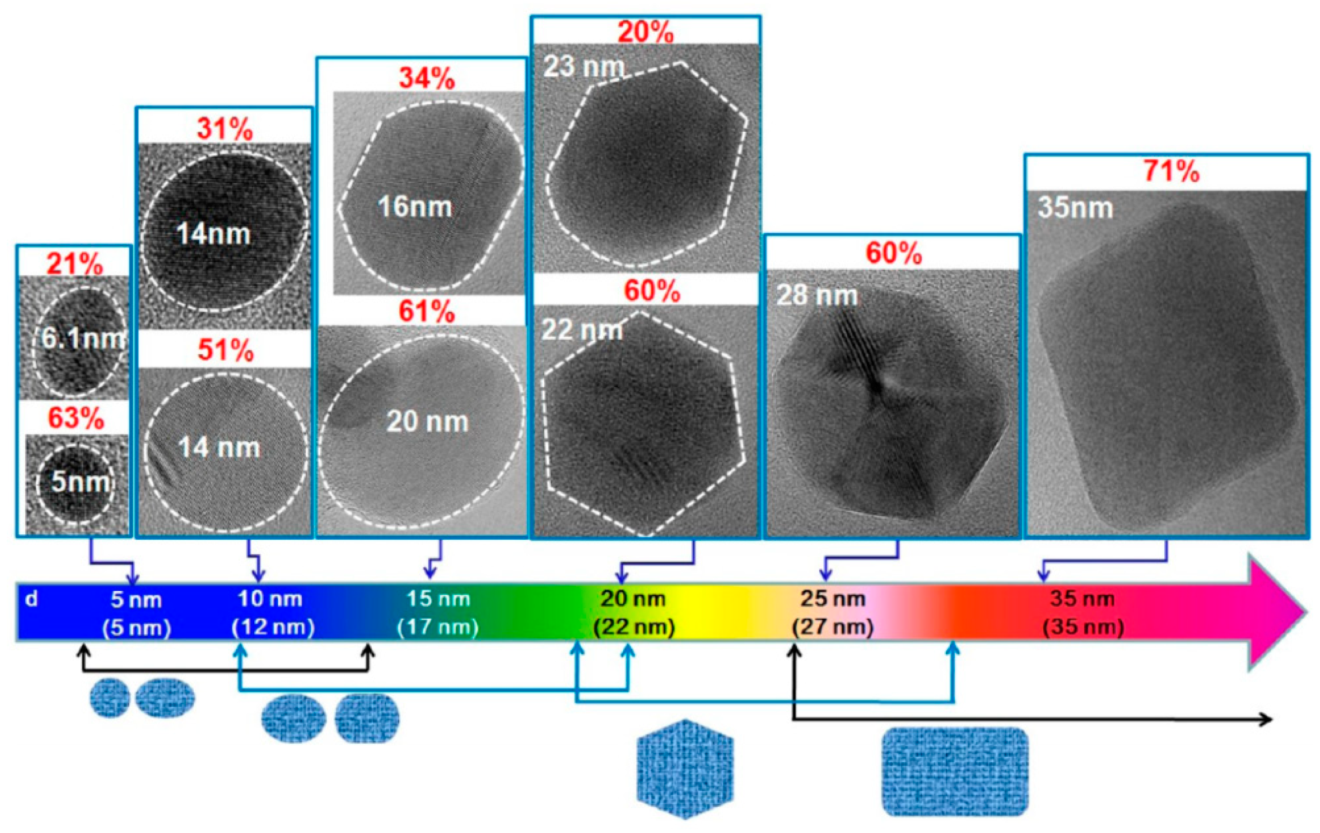 Cancers 13 03194 g002 Cancers 13 03194 g002