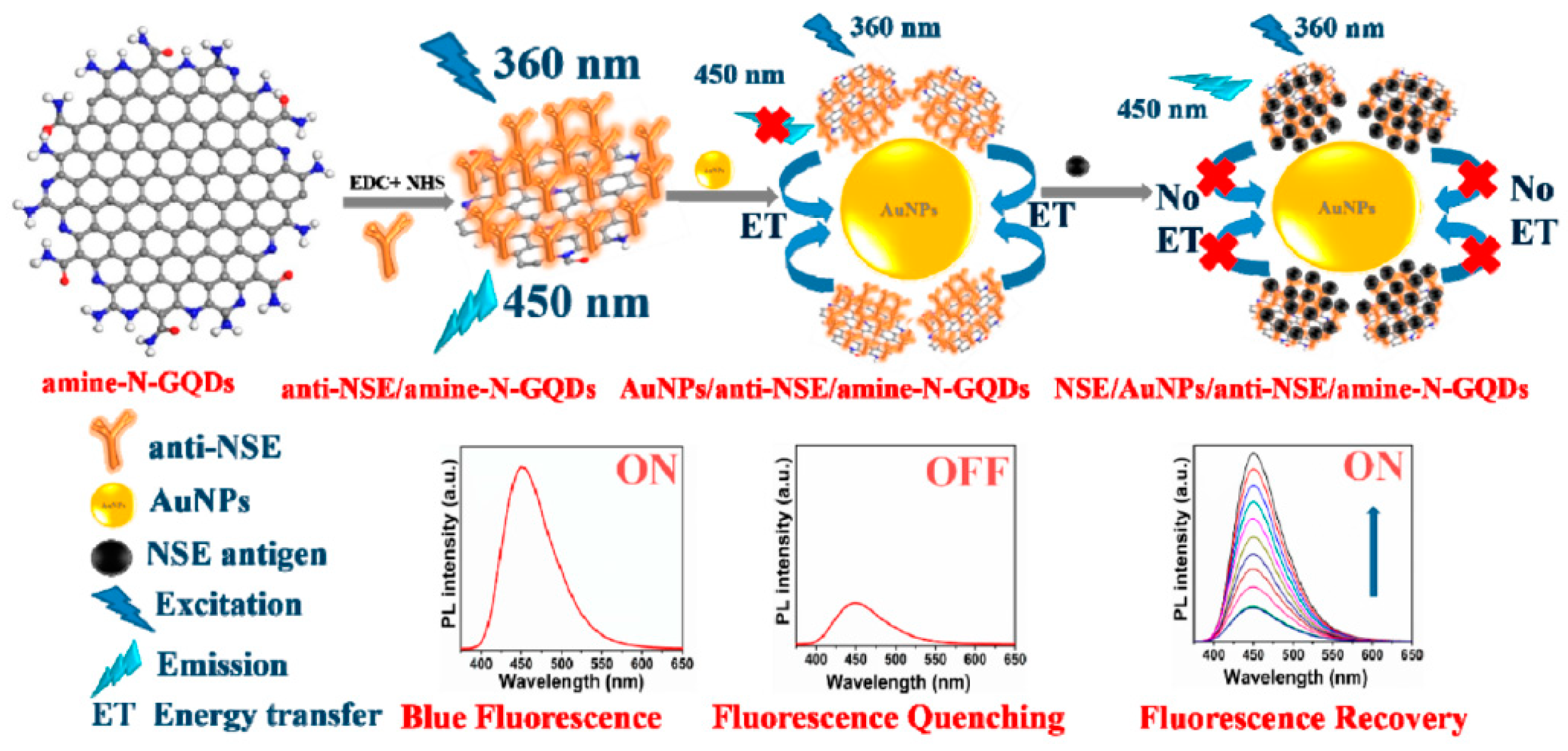 Cancers Free Full Text Smart Biosensors For Cancer Diagnosis Based